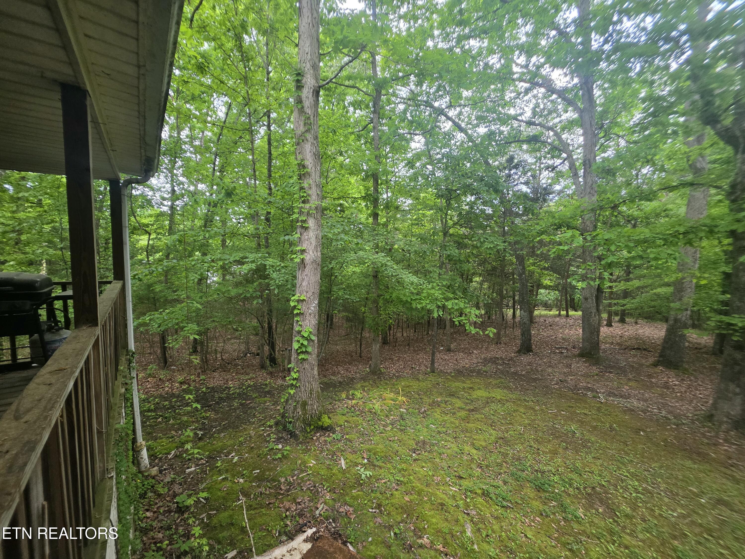 2170 Childress Road Dandridge, TN 37725 - Photo 10 of 26 45986