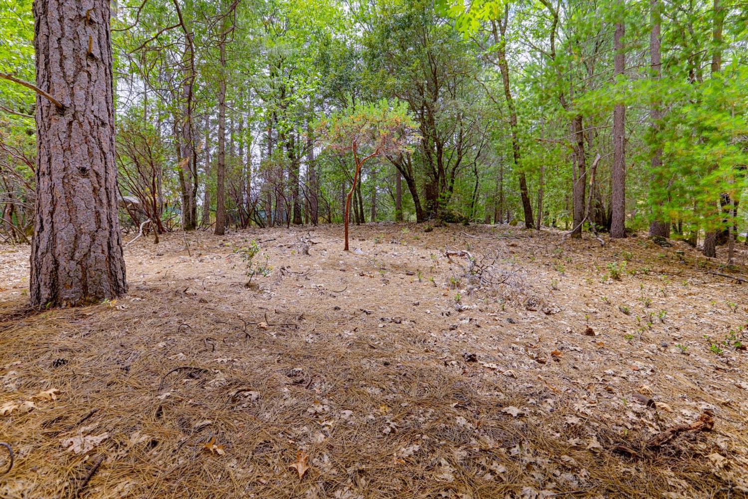16020 Brooks Road Grass Valley, CA 95945 - Photo 10 of 12