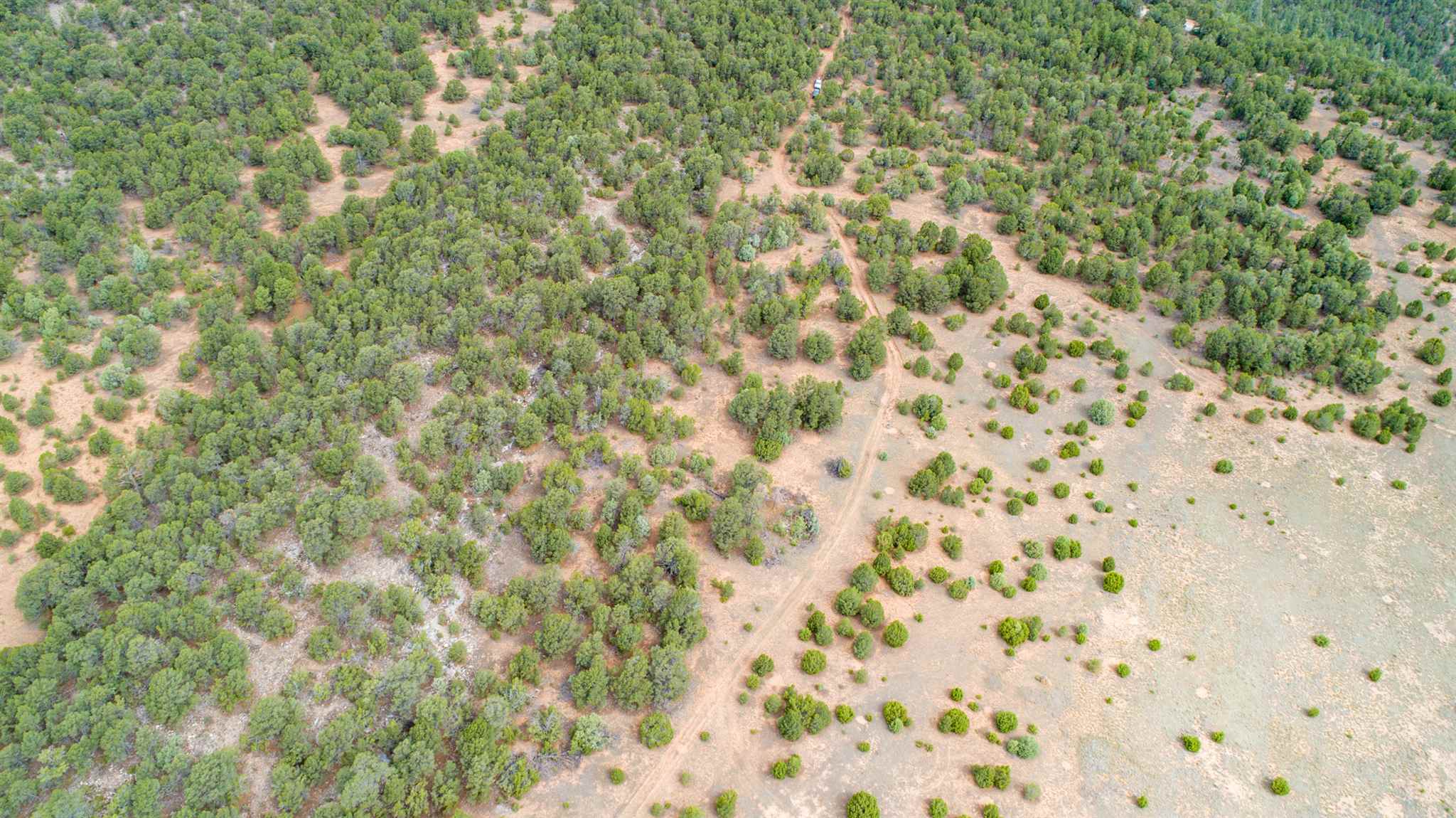 83 Pecos Barillas Road Pecos, NM 87552 - Photo 24 of 54 Gallery Image 24