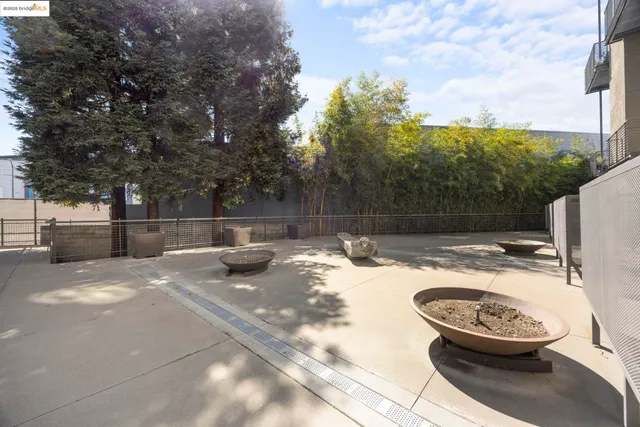 a white house that has a tree in front of it