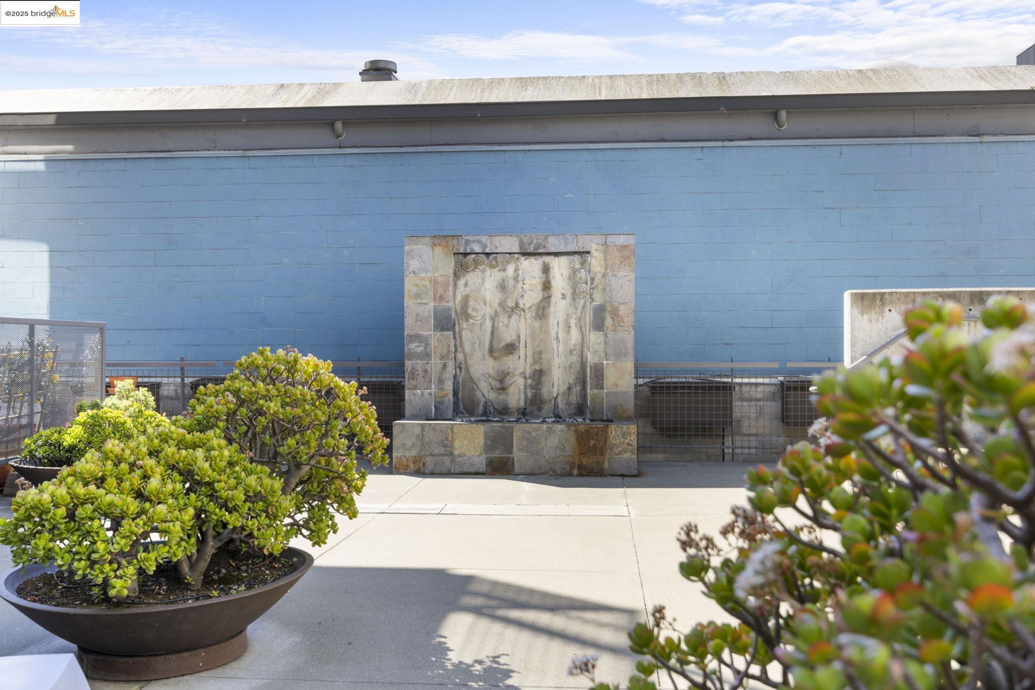 1007 41st Street, Unit 334 Oakland, CA 94608 - Photo 53 of 59 a view of a fruit basket