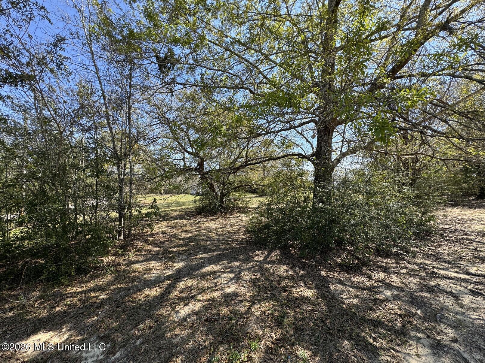 15068 Coggins Cove Saucier, MS 39574 - Photo 17 of 21 land