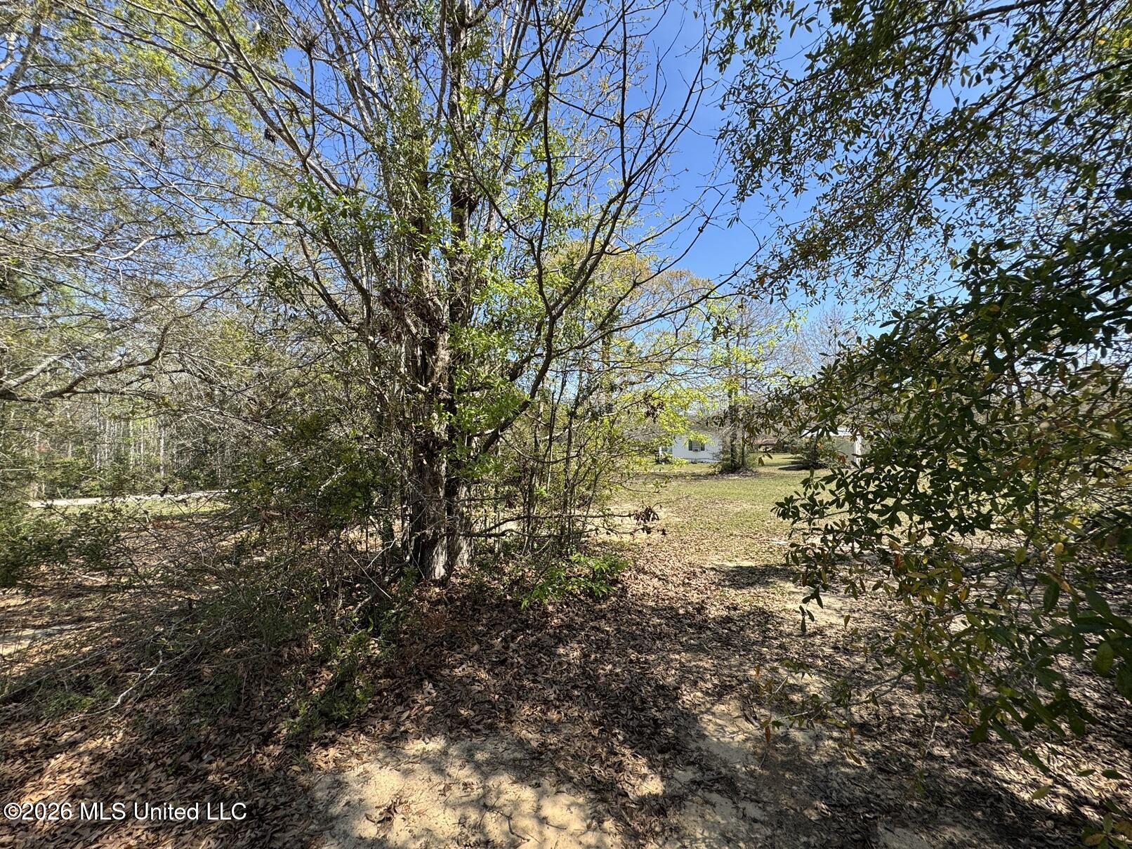 15068 Coggins Cove Saucier, MS 39574 - Photo 18 of 21 land
