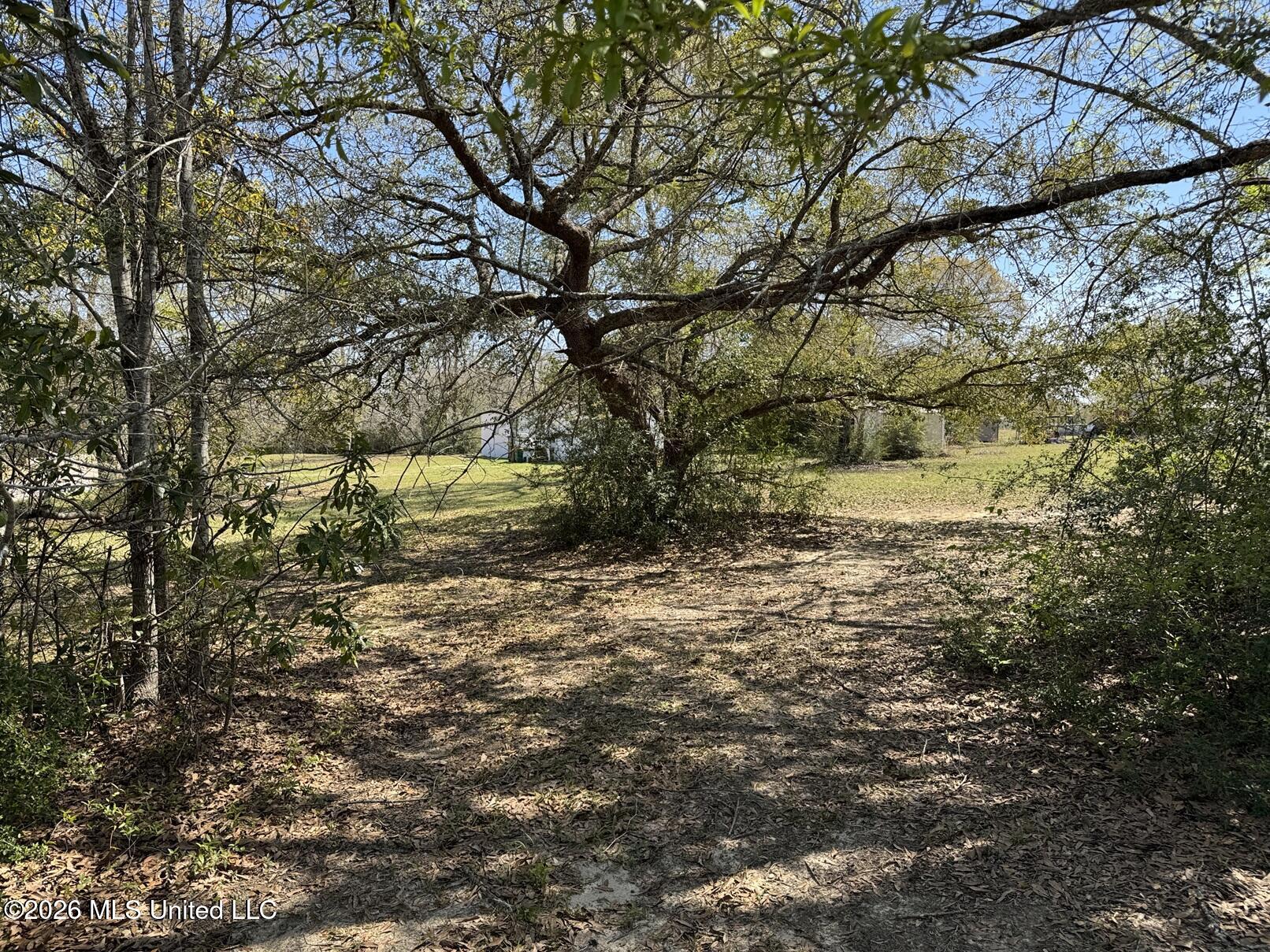 15068 Coggins Cove Saucier, MS 39574 - Photo 4 of 21 land