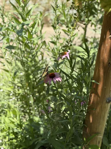 $626,000 | 1613 Washoe Circle, Bishop, CA 93514