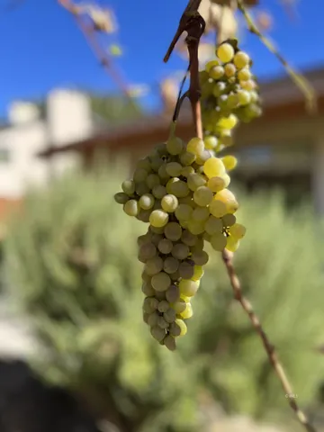 $626,000 | 1613 Washoe Circle, Bishop, CA 93514