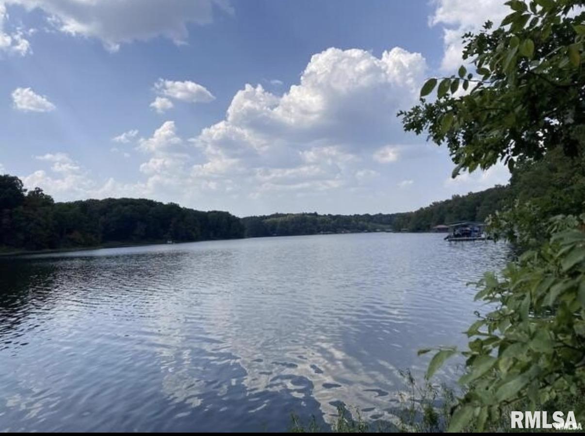 Lot 148-and Parrish Ridge Lane Goreville, IL 62939 - Photo 1 of 7