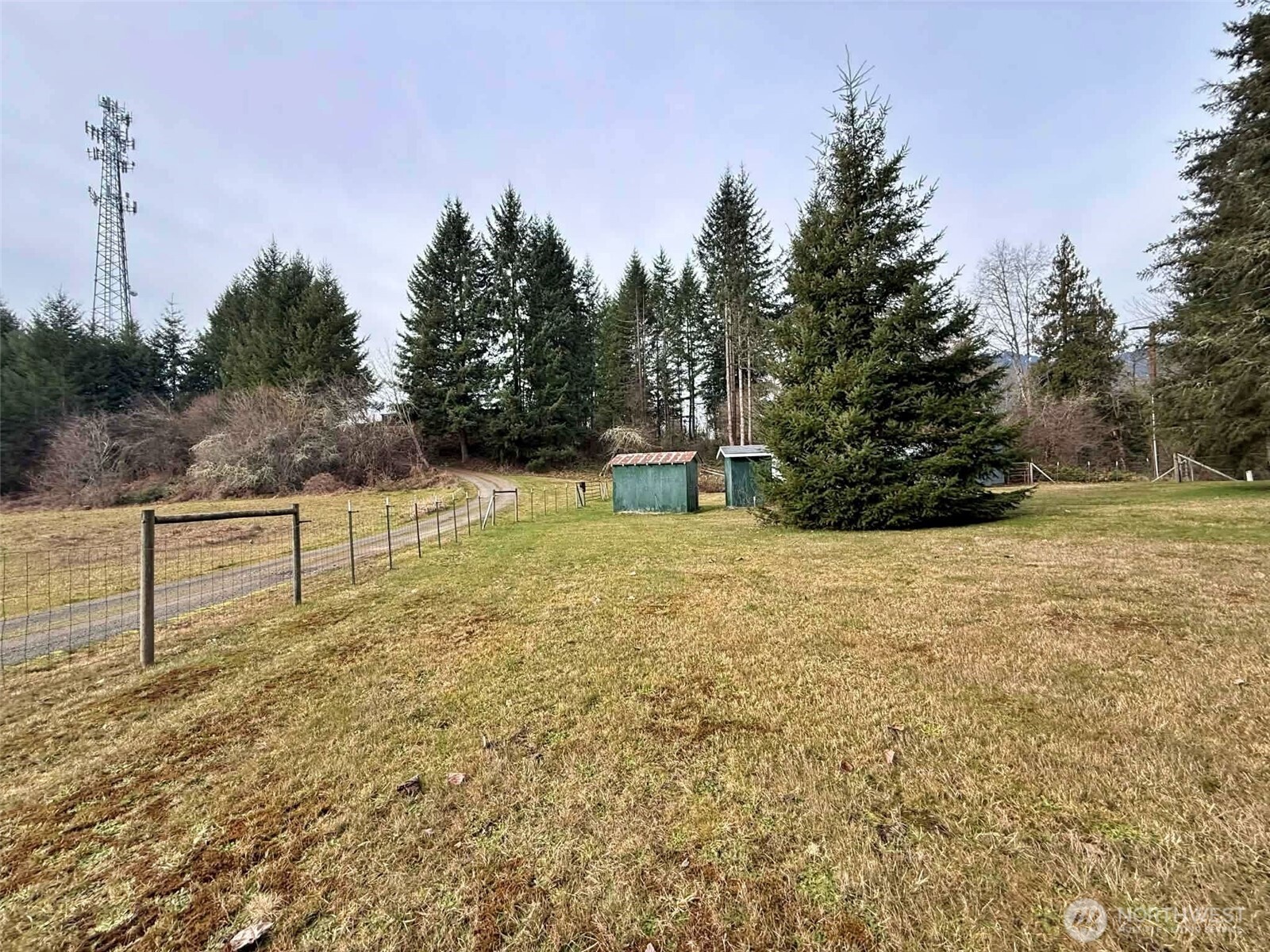 384 Peters Road Randle, WA 98377 - Photo 16 of 28