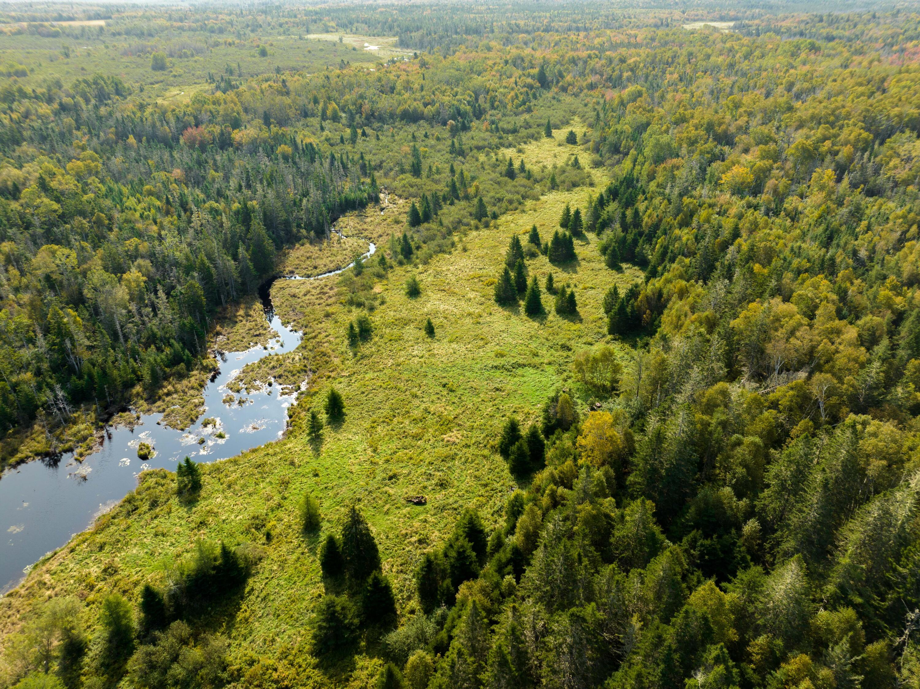 117 Denbow Road Lubec, ME 04652 - Photo 21 of 59 117 Denbow Rd. Lubec (8 of 63)