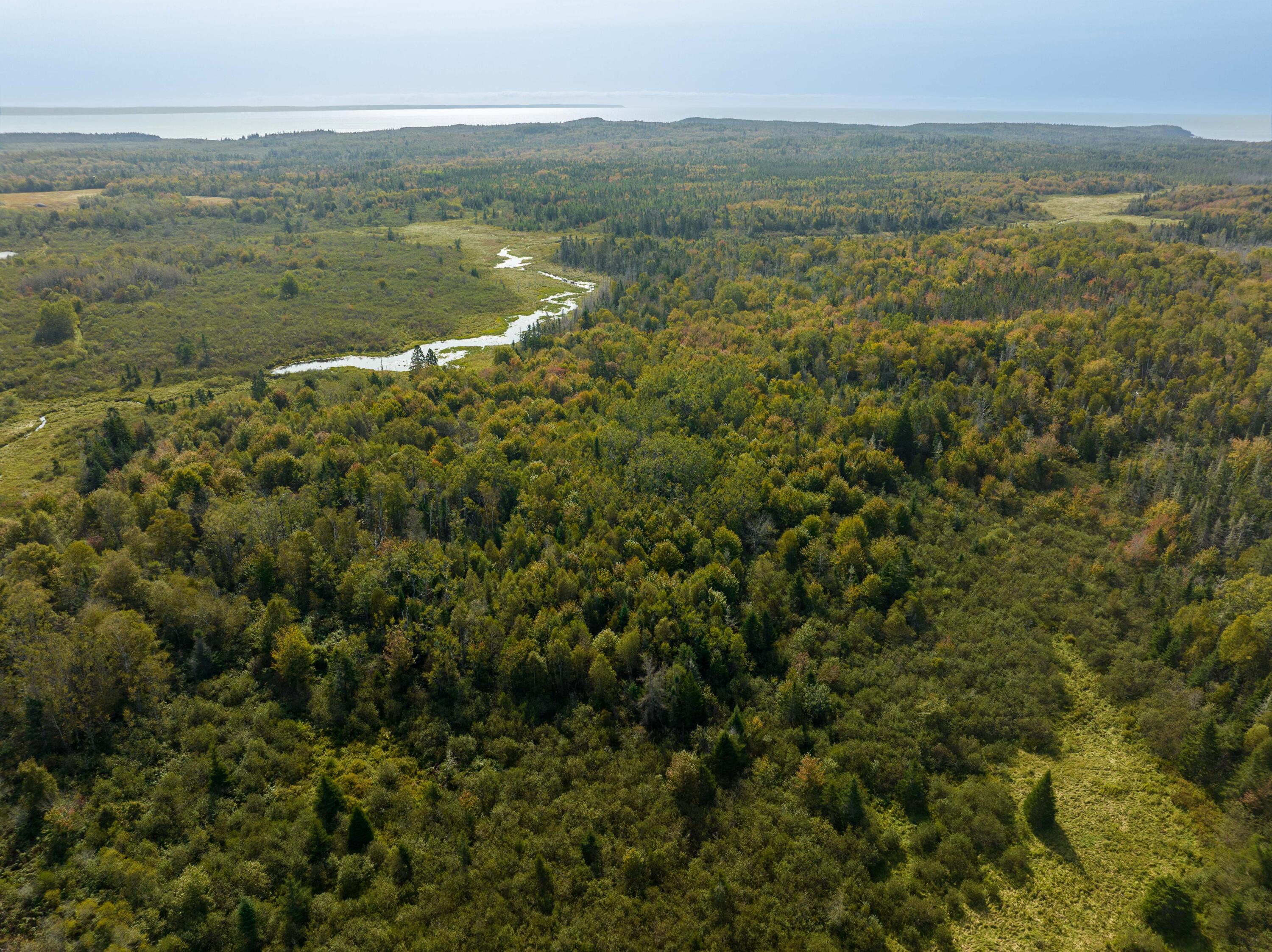 117 Denbow Road Lubec, ME 04652 - Photo 22 of 59 117 Denbow Rd. Lubec (9 of 63)