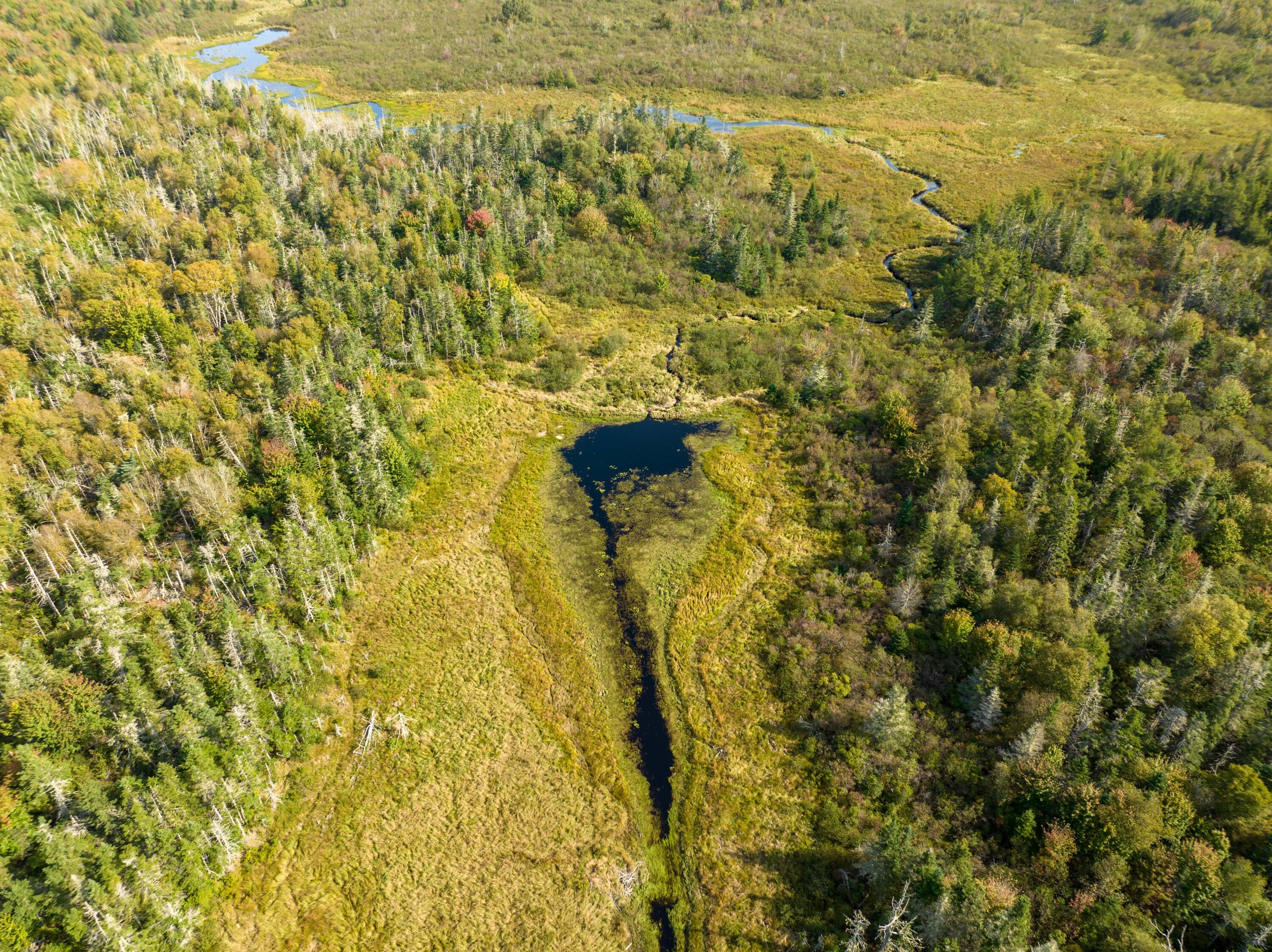 117 Denbow Road Lubec, ME 04652 - Photo 26 of 59 117 Denbow Rd. Lubec (15 of 63)