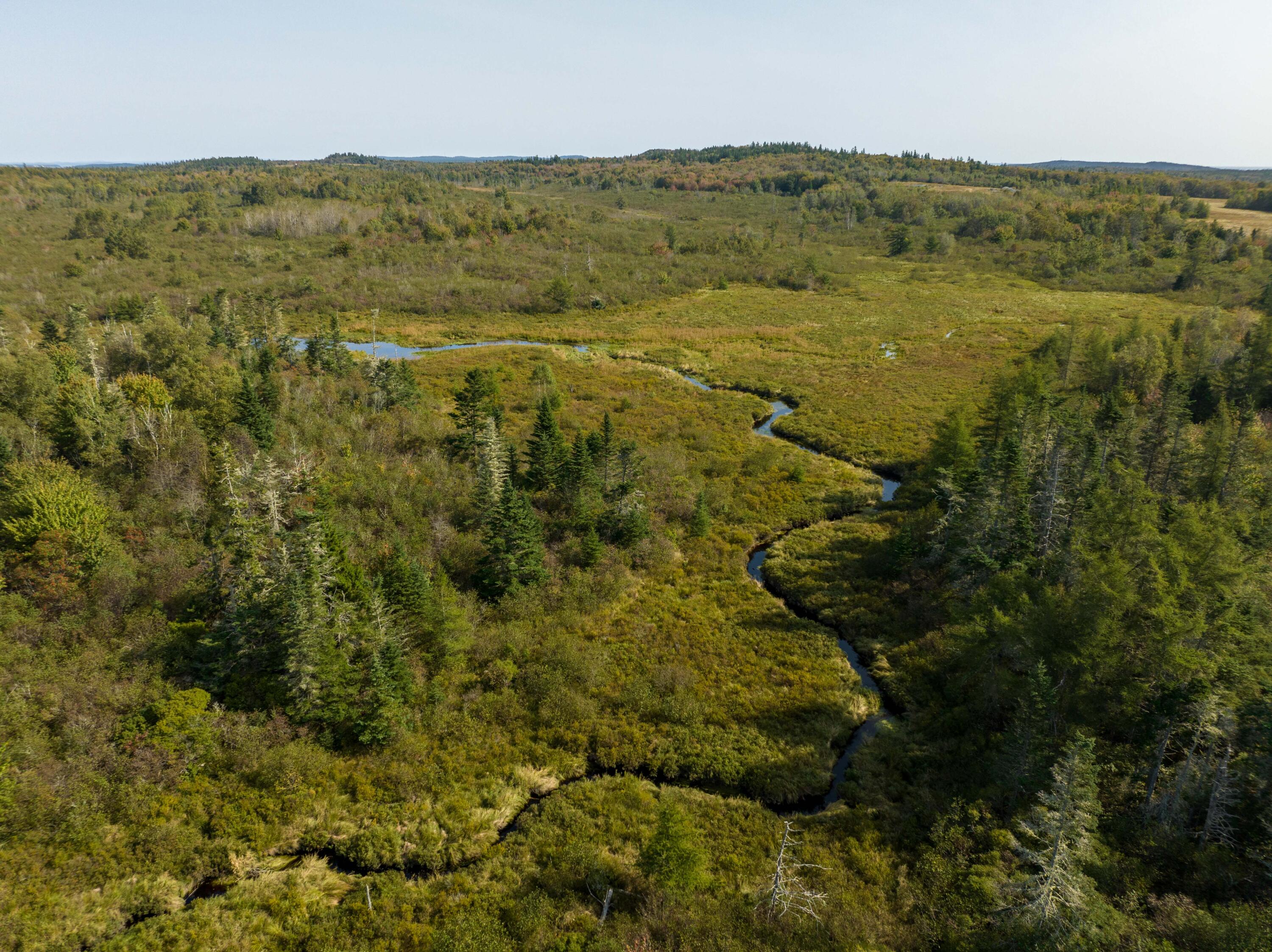 117 Denbow Road Lubec, ME 04652 - Photo 29 of 59 117 Denbow Rd. Lubec (19 of 63)