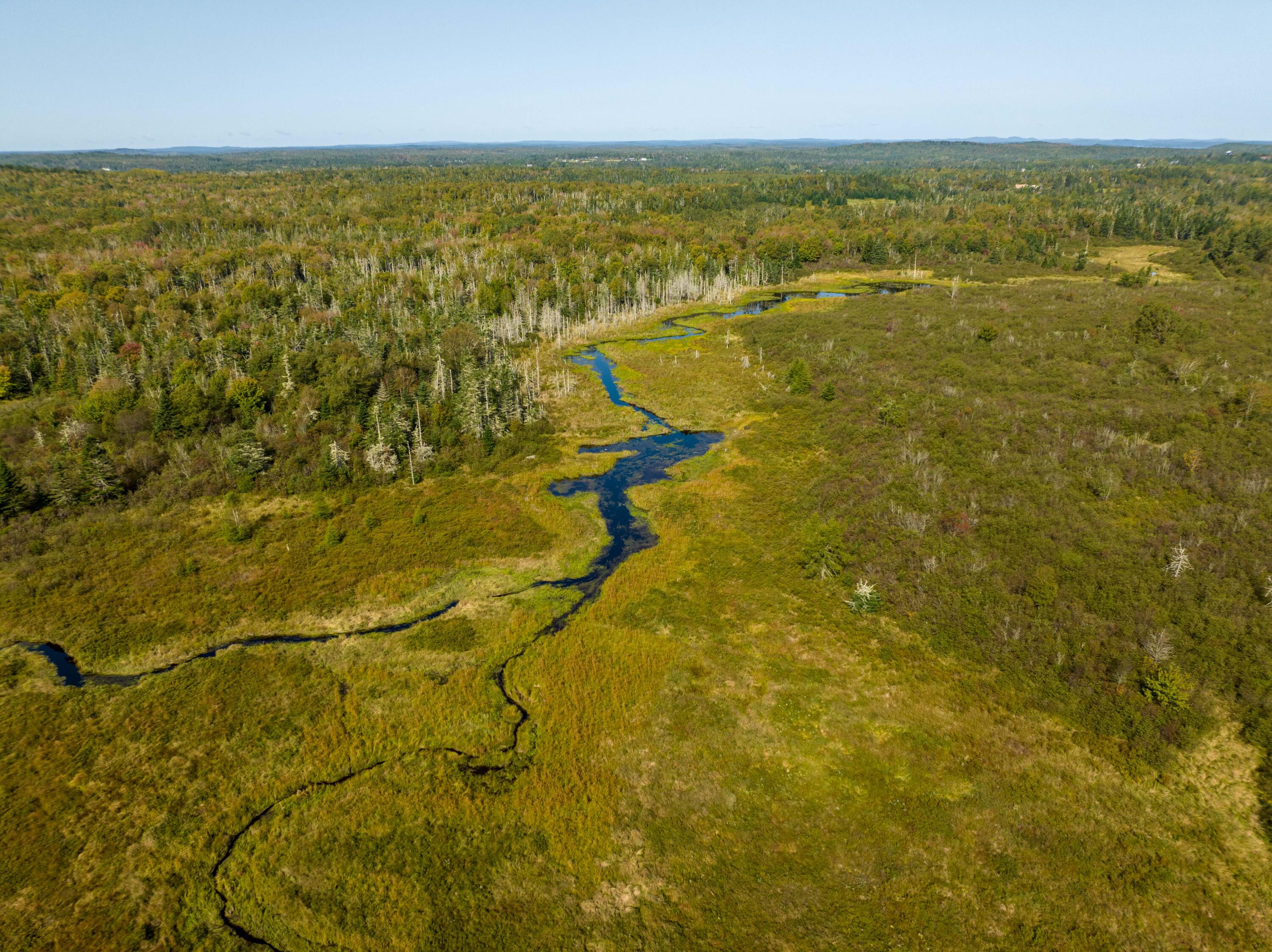 117 Denbow Road Lubec, ME 04652 - Photo 34 of 59 117 Denbow Rd. Lubec (25 of 63)