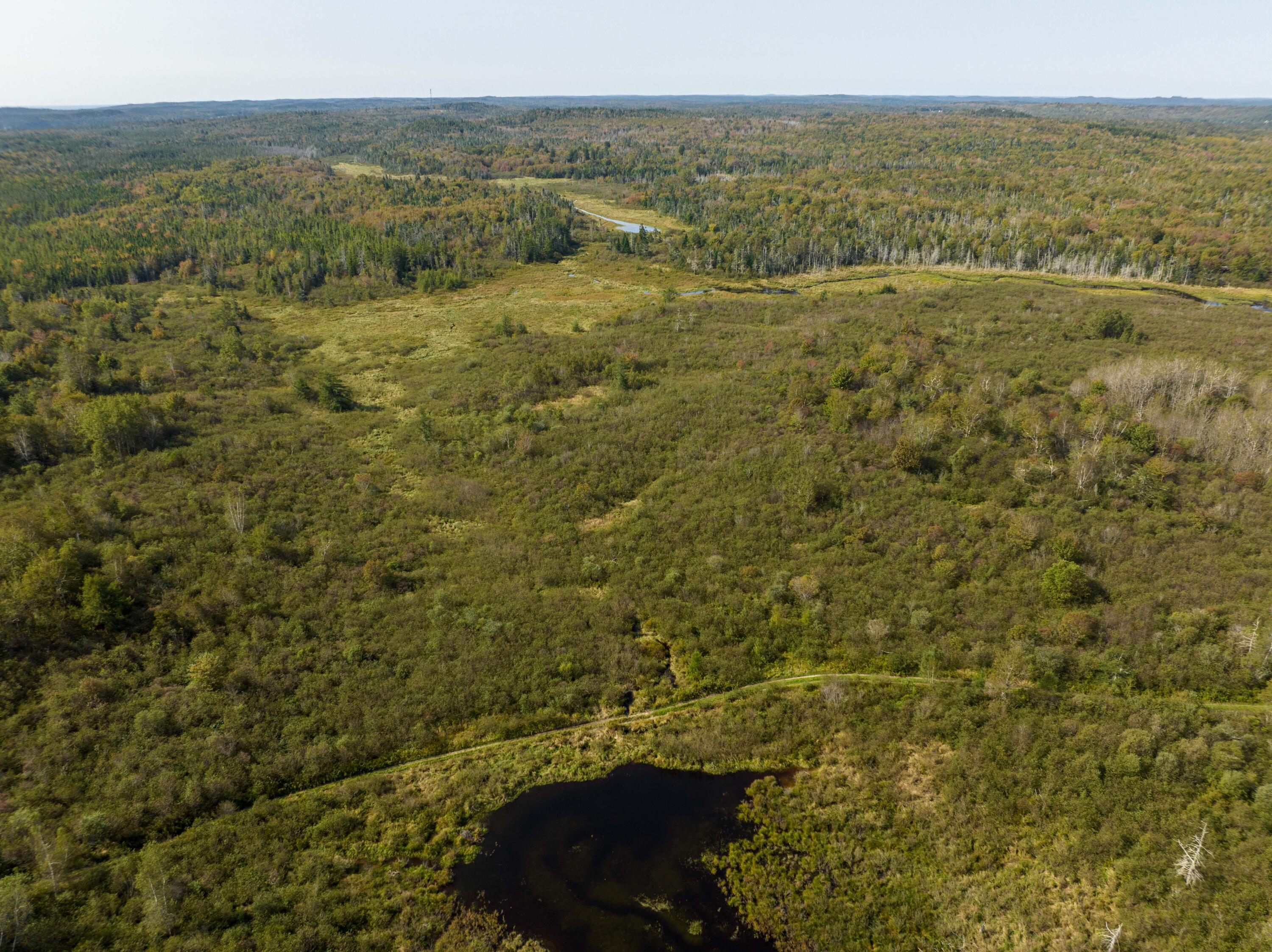 117 Denbow Road Lubec, ME 04652 - Photo 36 of 59 117 Denbow Rd. Lubec (33 of 63)