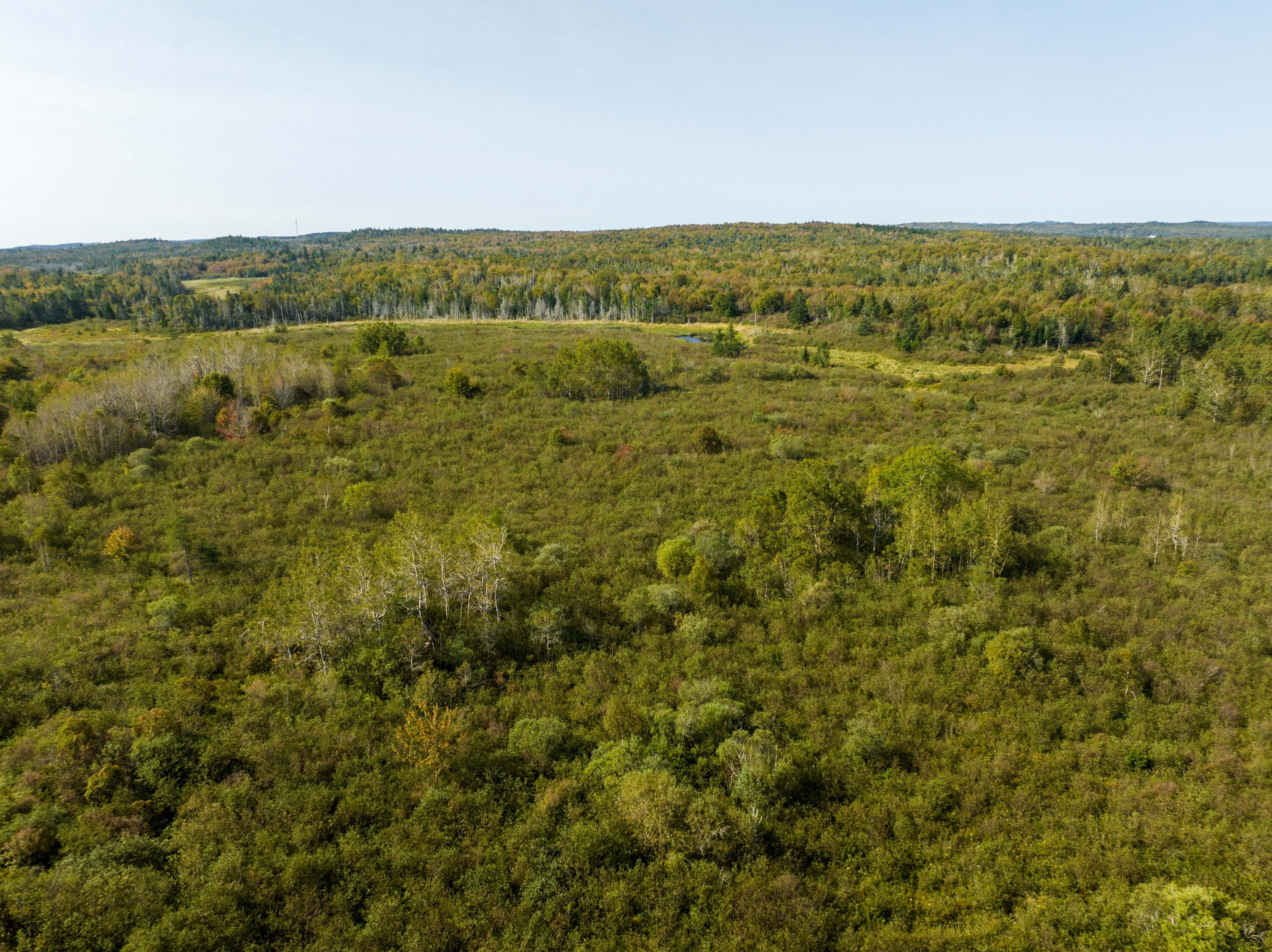117 Denbow Road Lubec, ME 04652 - Photo 40 of 59 117 Denbow Rd. Lubec (38 of 63)