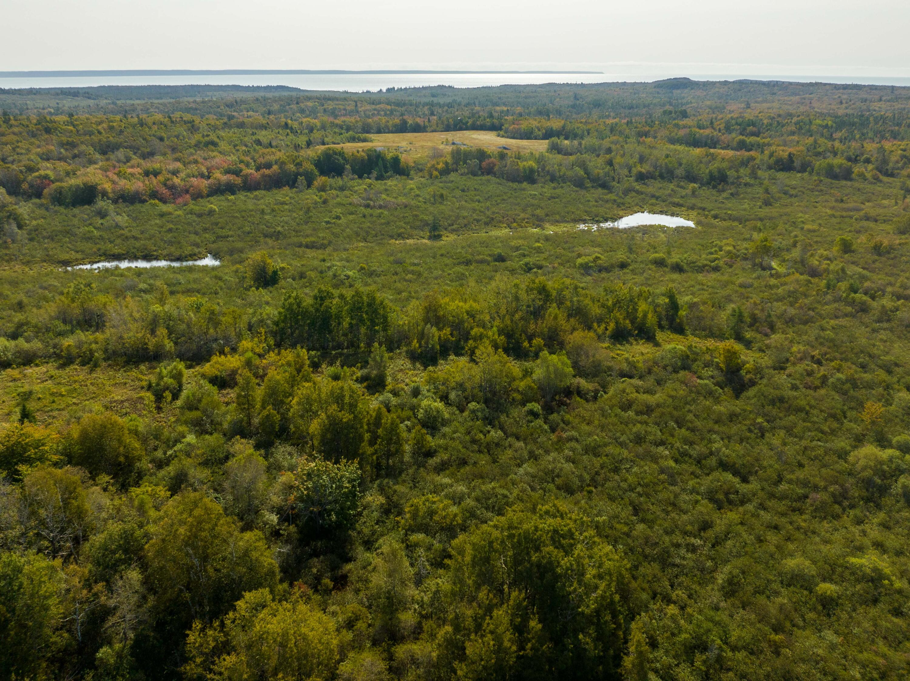 117 Denbow Road Lubec, ME 04652 - Photo 41 of 59 117 Denbow Rd. Lubec (39 of 63)