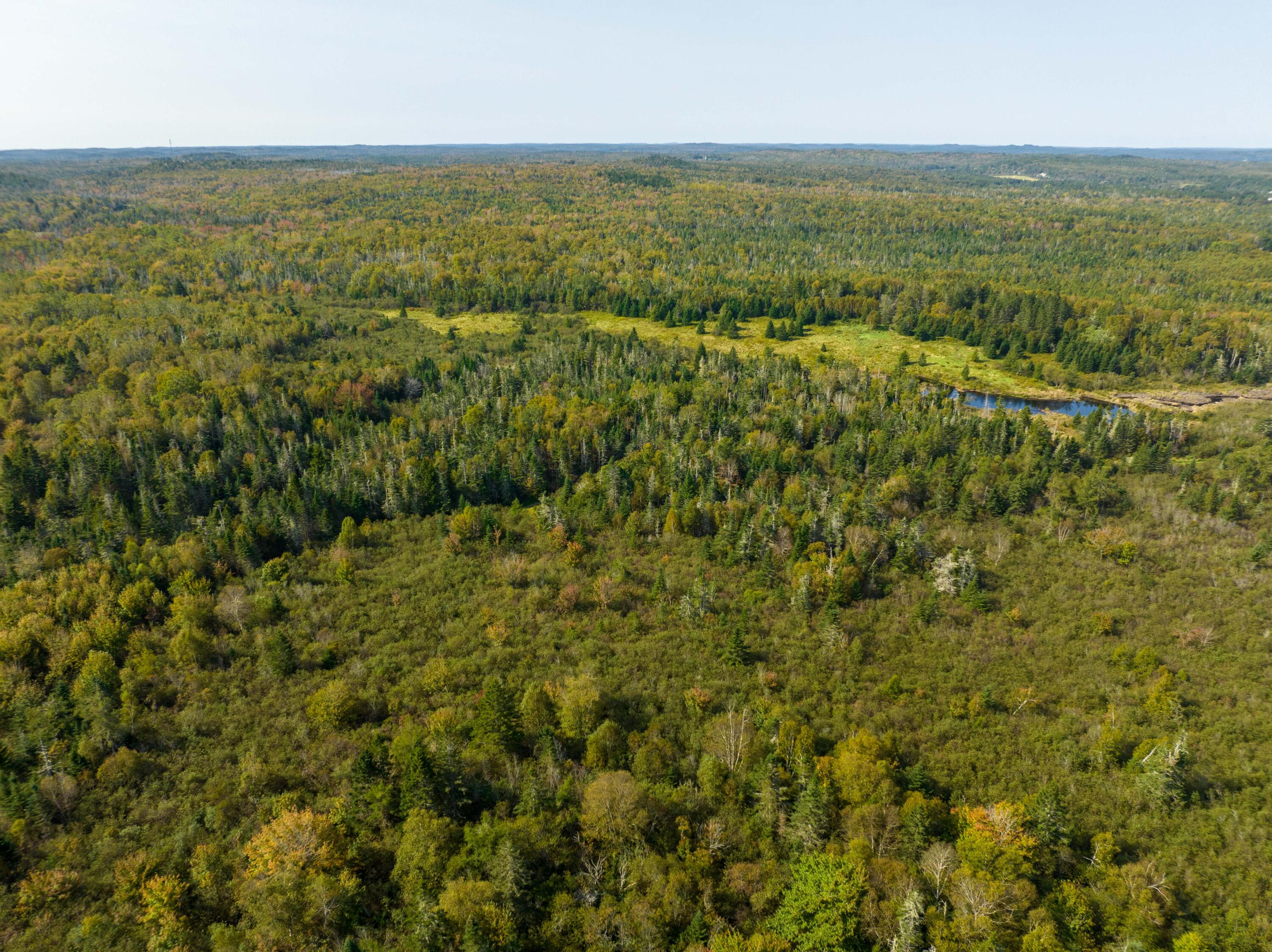 117 Denbow Road Lubec, ME 04652 - Photo 43 of 59 117 Denbow Rd. Lubec (42 of 63)