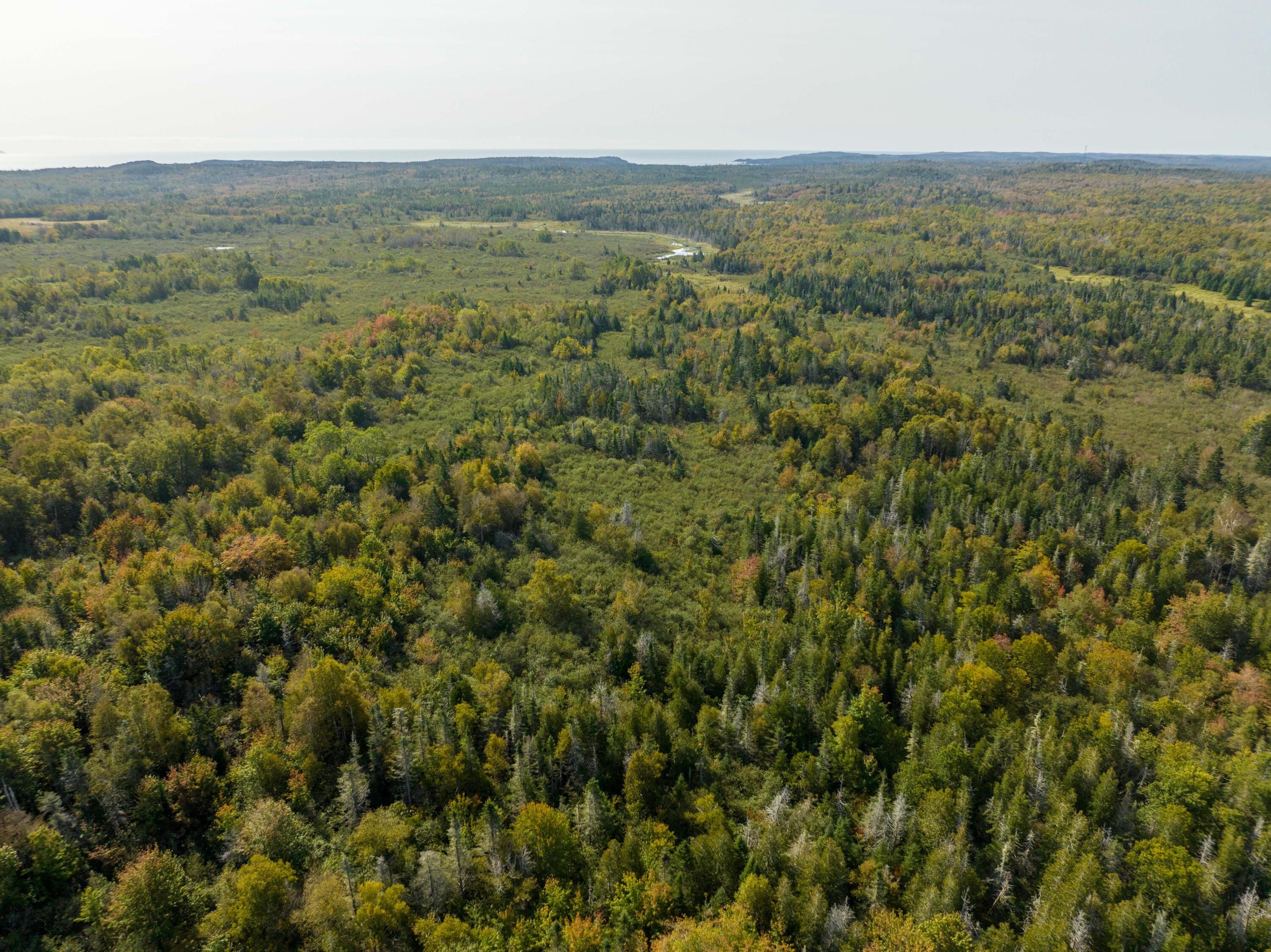 117 Denbow Road Lubec, ME 04652 - Photo 45 of 59 117 Denbow Rd. Lubec (45 of 63)