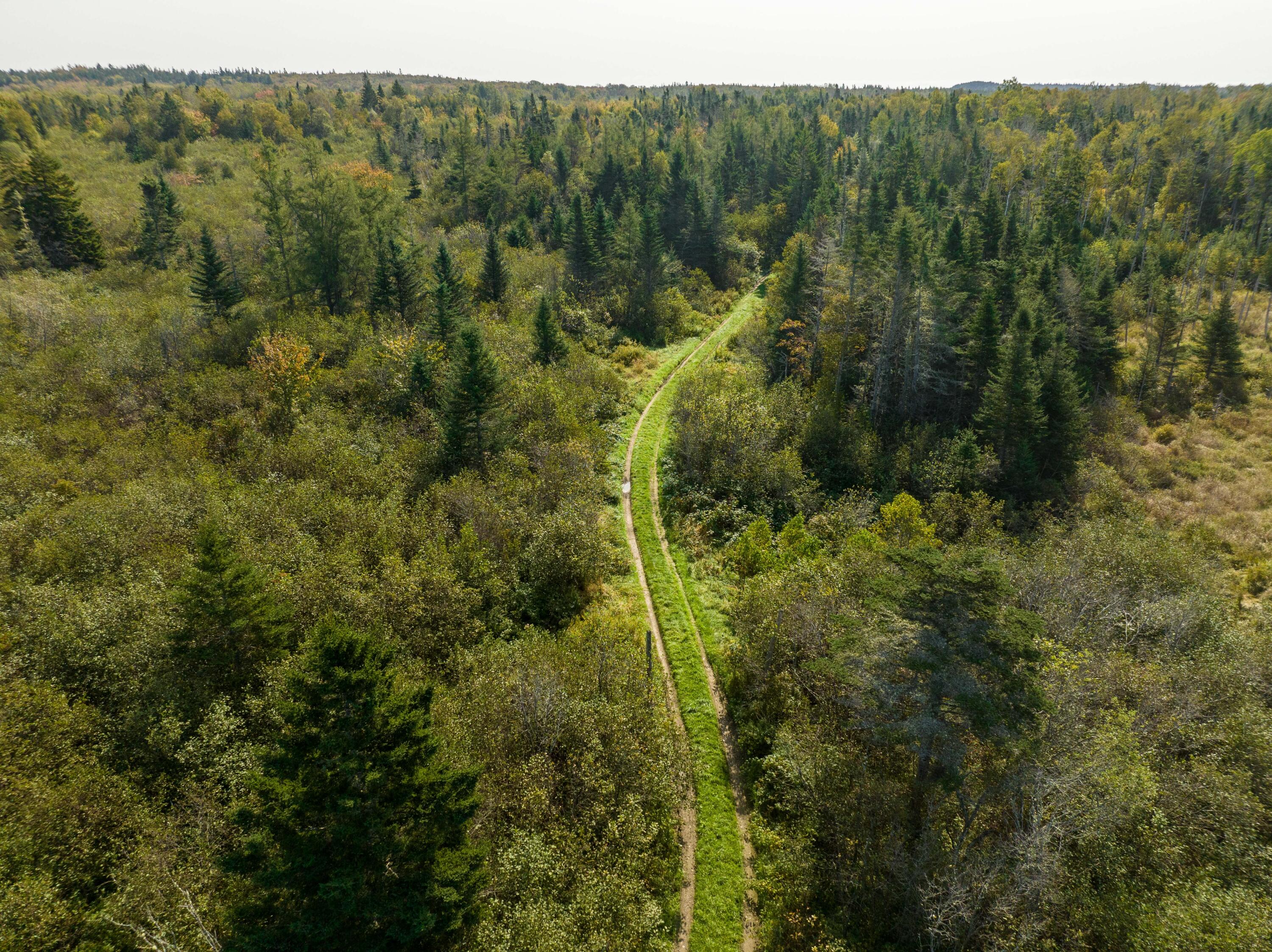 117 Denbow Road Lubec, ME 04652 - Photo 50 of 59 117 Denbow Rd. Lubec (51 of 63)