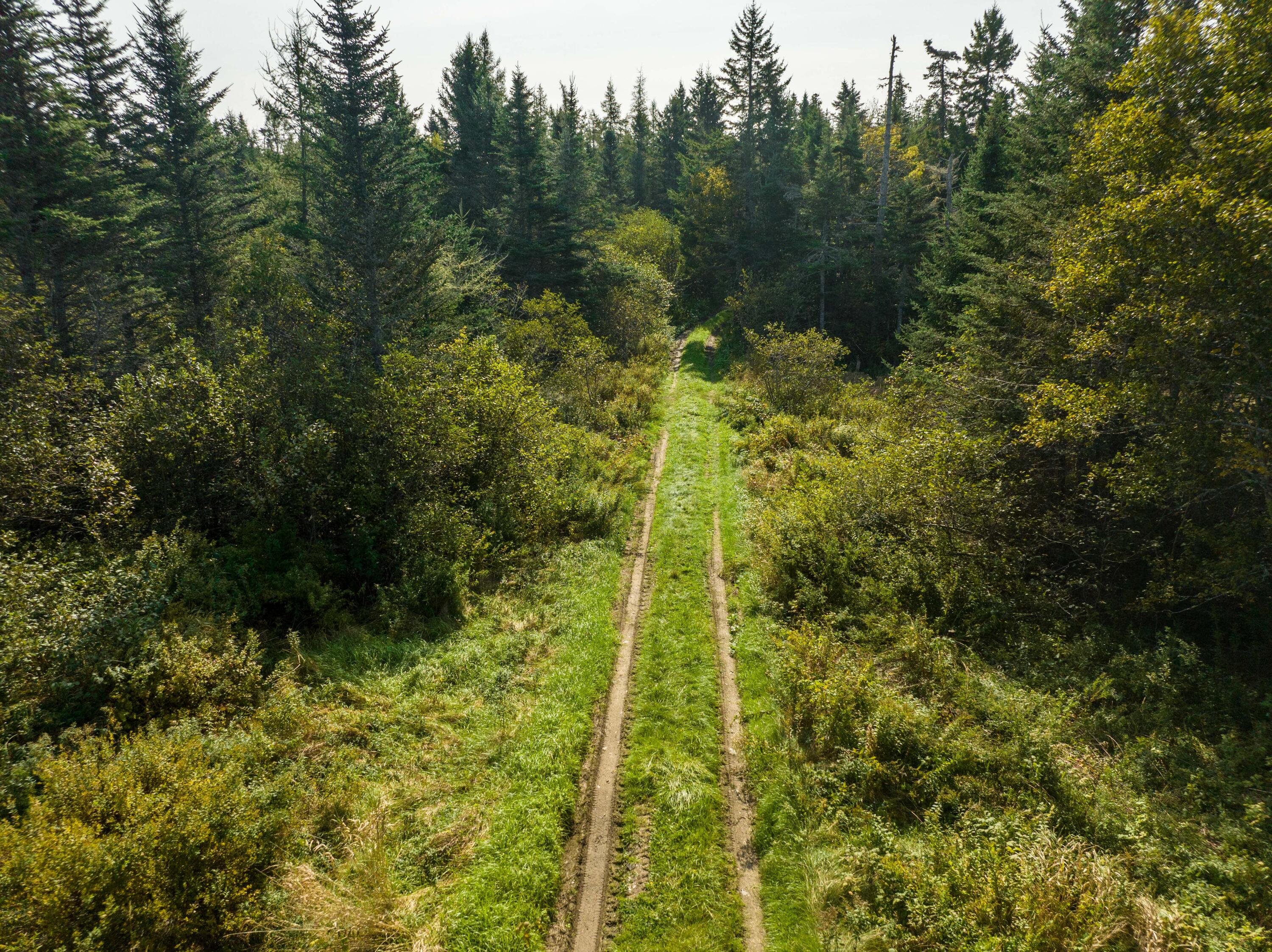 117 Denbow Road Lubec, ME 04652 - Photo 51 of 59 117 Denbow Rd. Lubec (52 of 63)