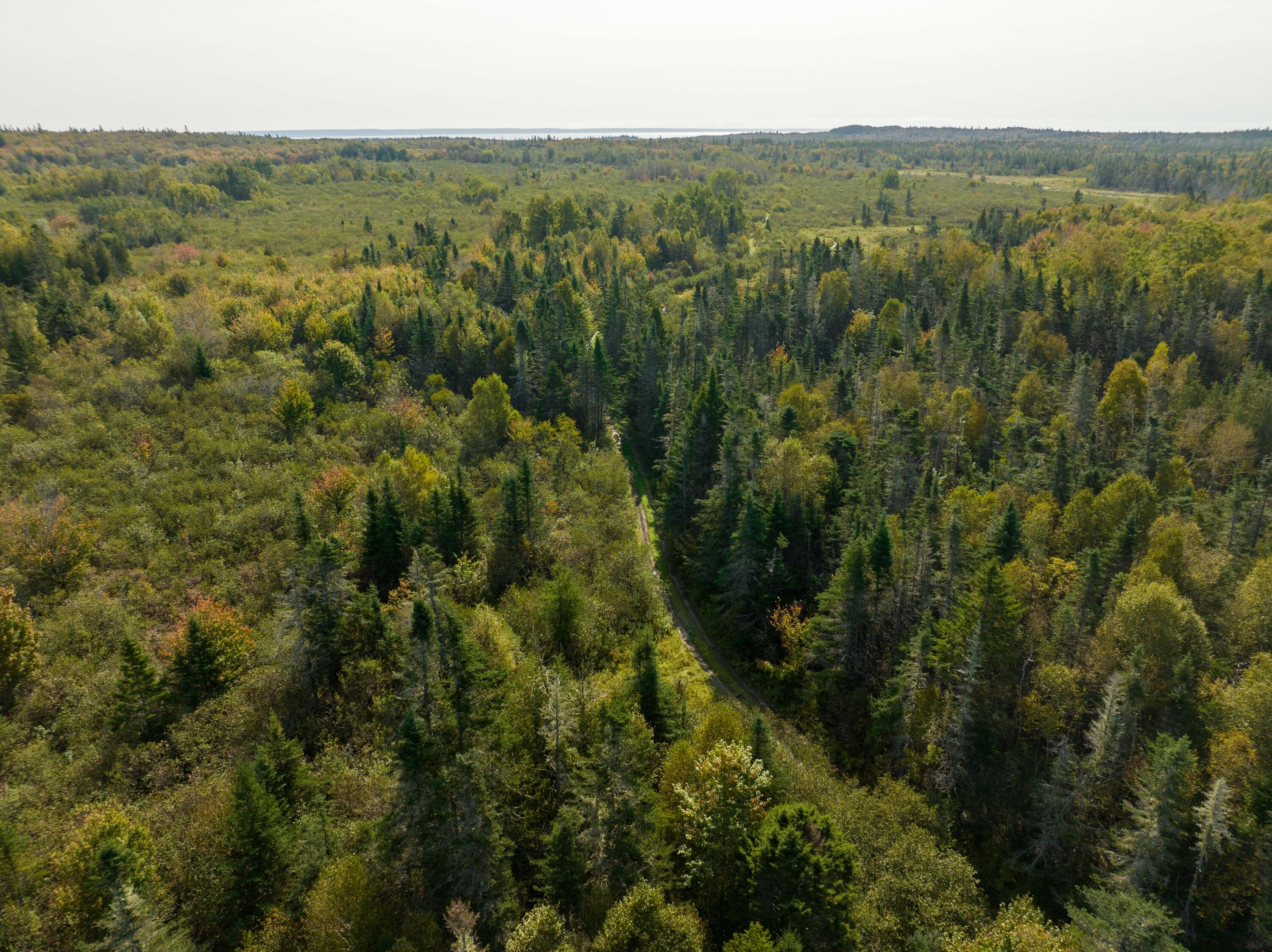 117 Denbow Road Lubec, ME 04652 - Photo 52 of 59 117 Denbow Rd. Lubec (53 of 63)