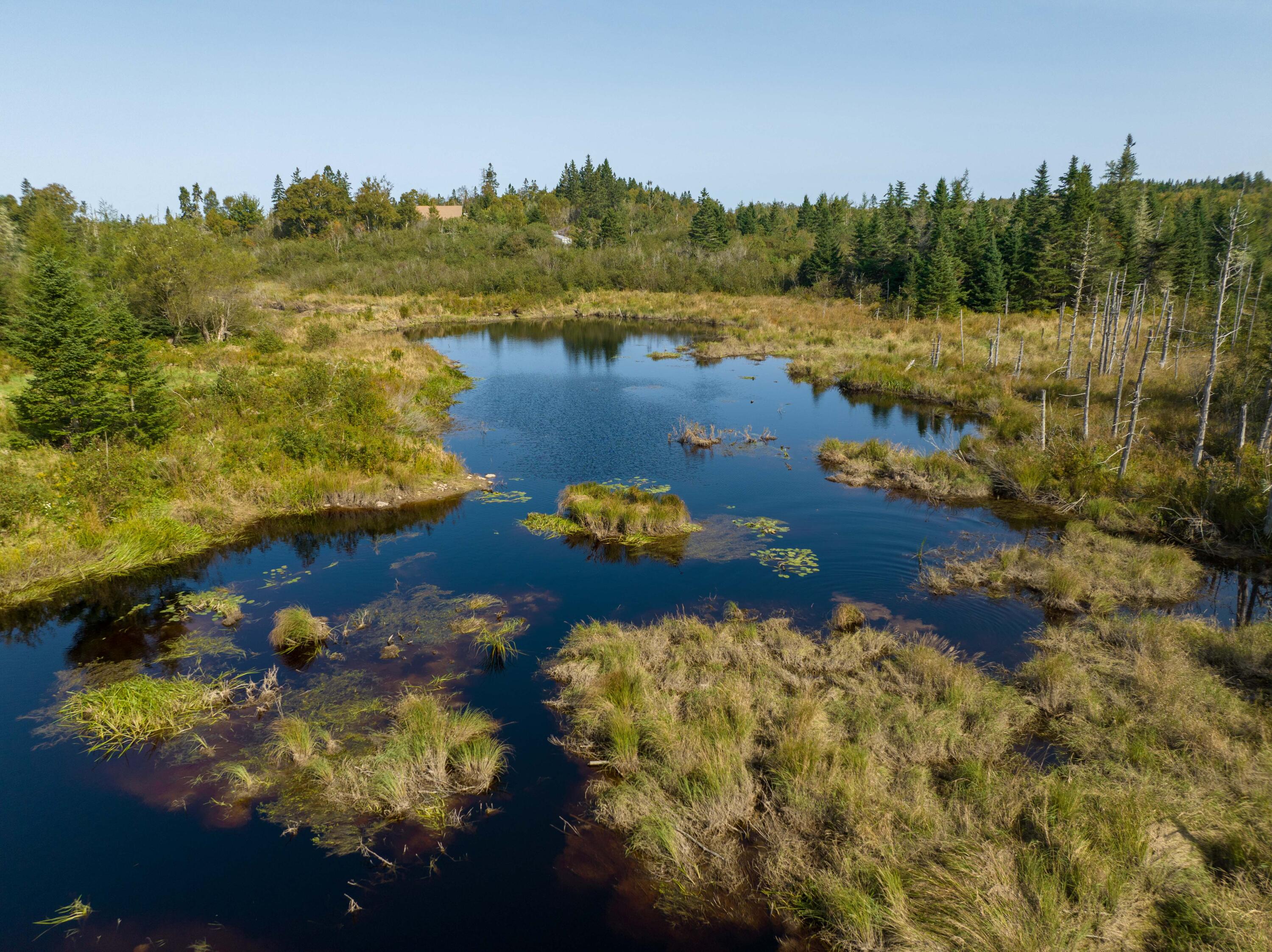 117 Denbow Road Lubec, ME 04652 - Photo 56 of 59 117 Denbow Rd. Lubec (57 of 63)