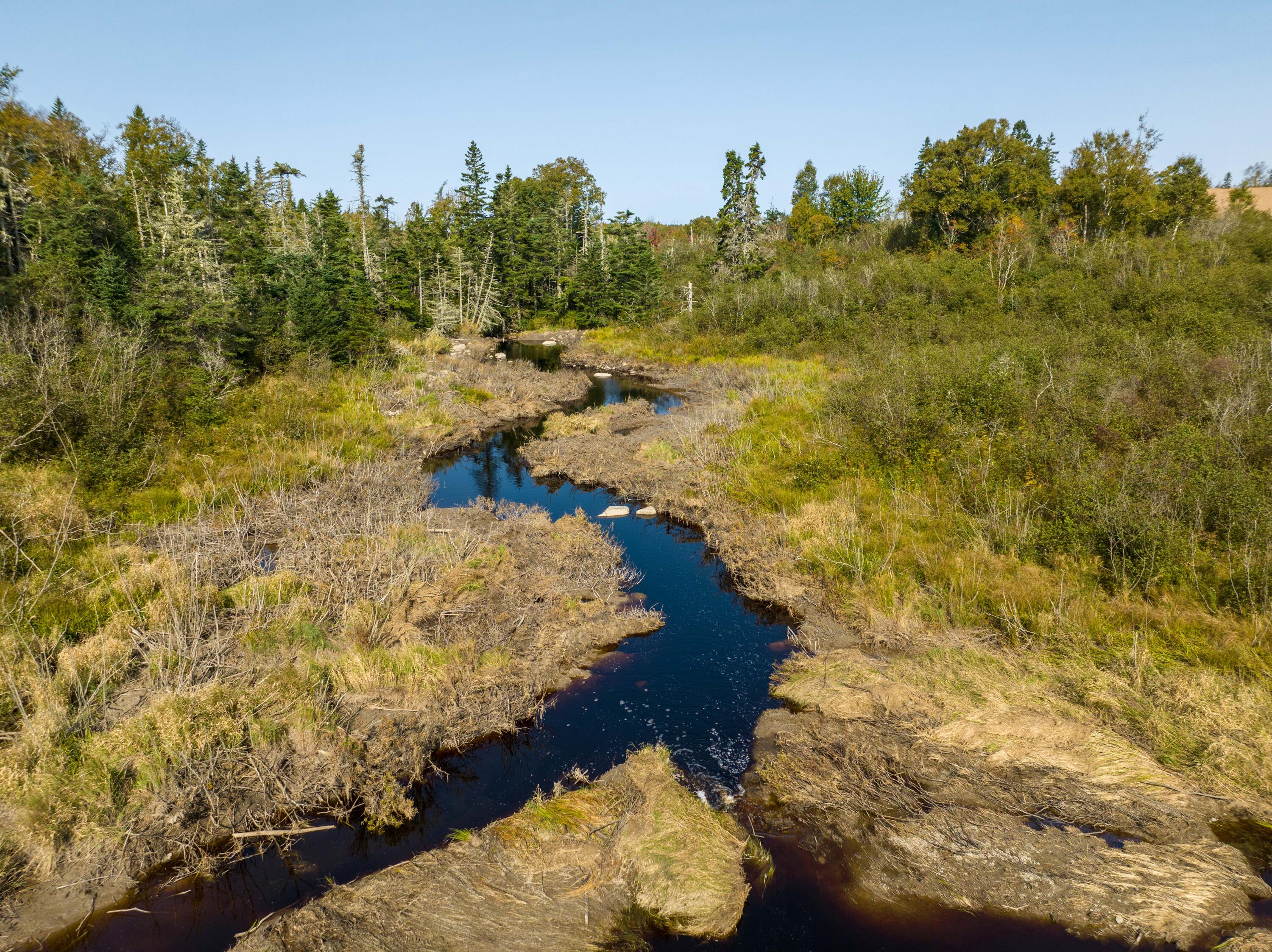 117 Denbow Road Lubec, ME 04652 - Photo 57 of 59 117 Denbow Rd. Lubec (59 of 63)