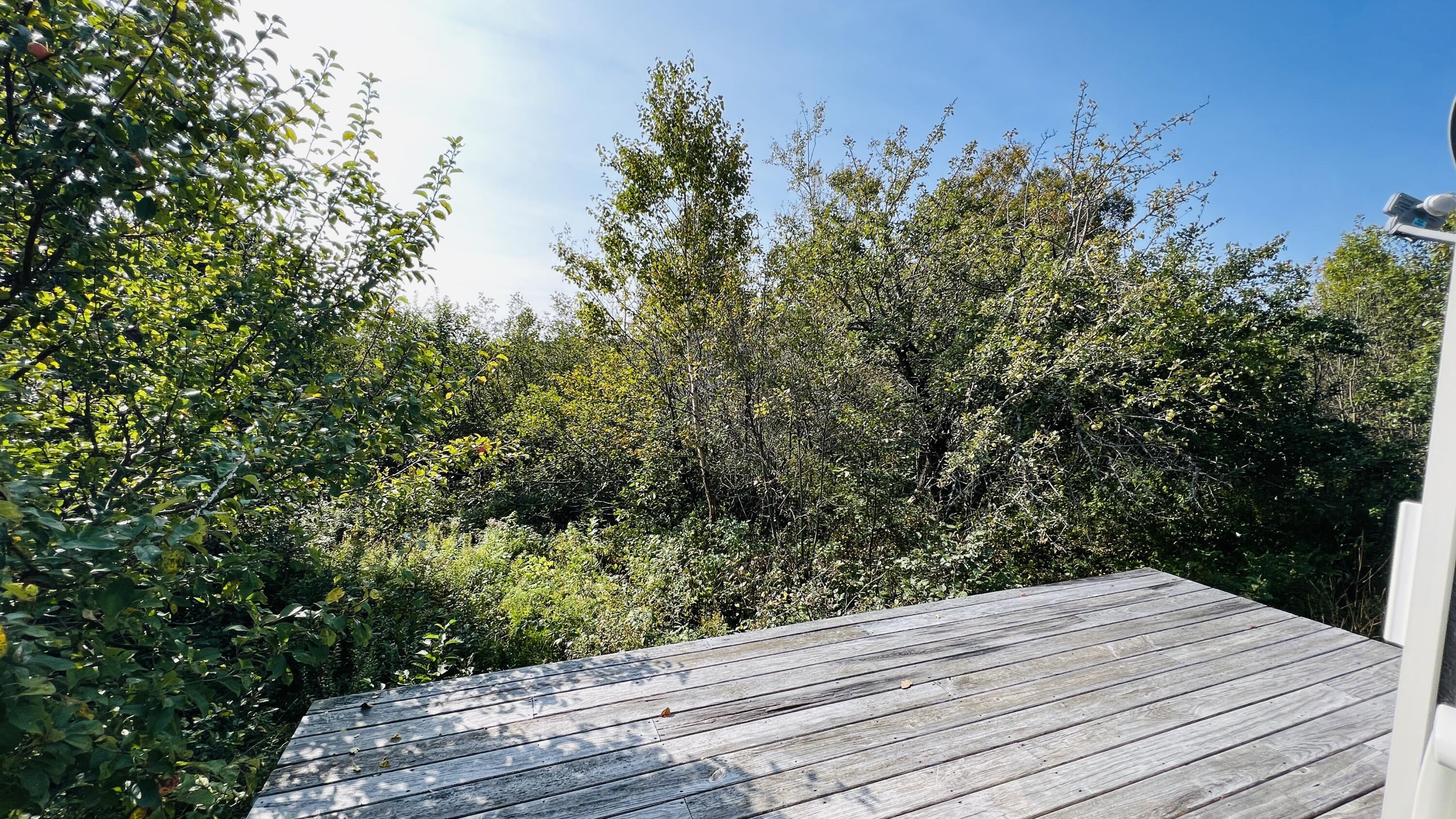 117 Denbow Road Lubec, ME 04652 - Photo 7 of 59 IMG_1862
