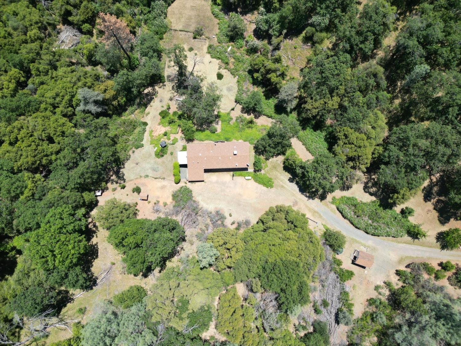 19953 Bear Ridge Road Grass Valley, CA 95949 - Photo 43 of 89