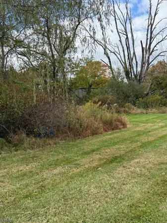 a view of a field with trees