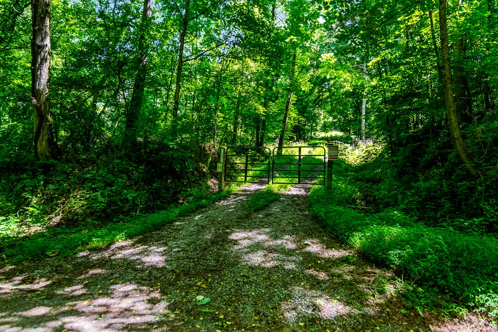 773 Fairview Road Jasper, GA 30143 - Photo 2 of 73