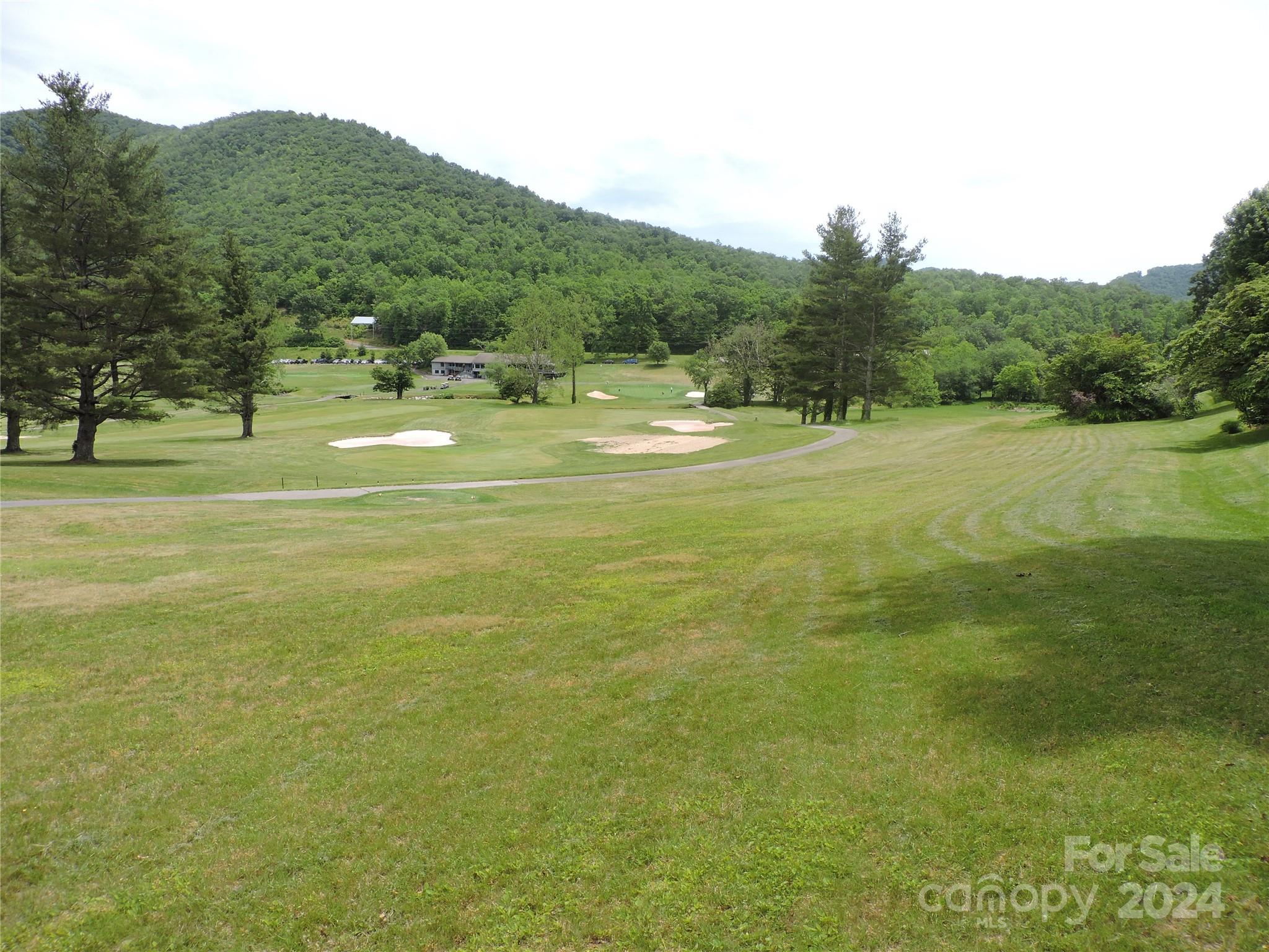 0 South Toe River Road, Unit LOT 2 Burnsville, NC 28714 - Photo 14 of 28 a view of a big yard with an trees