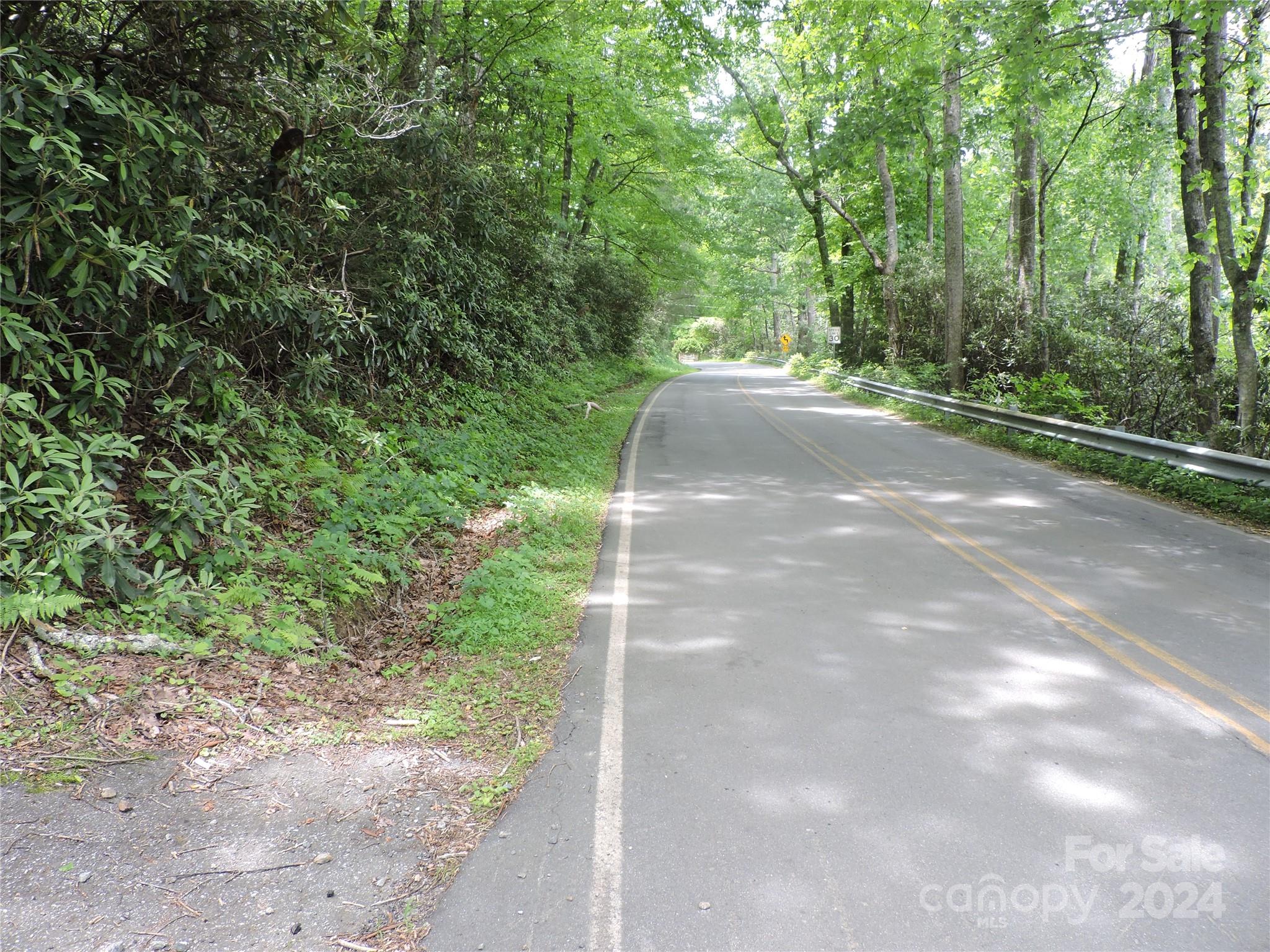 0 South Toe River Road, Unit LOT 2 Burnsville, NC 28714 - Photo 25 of 28 a view of a street view