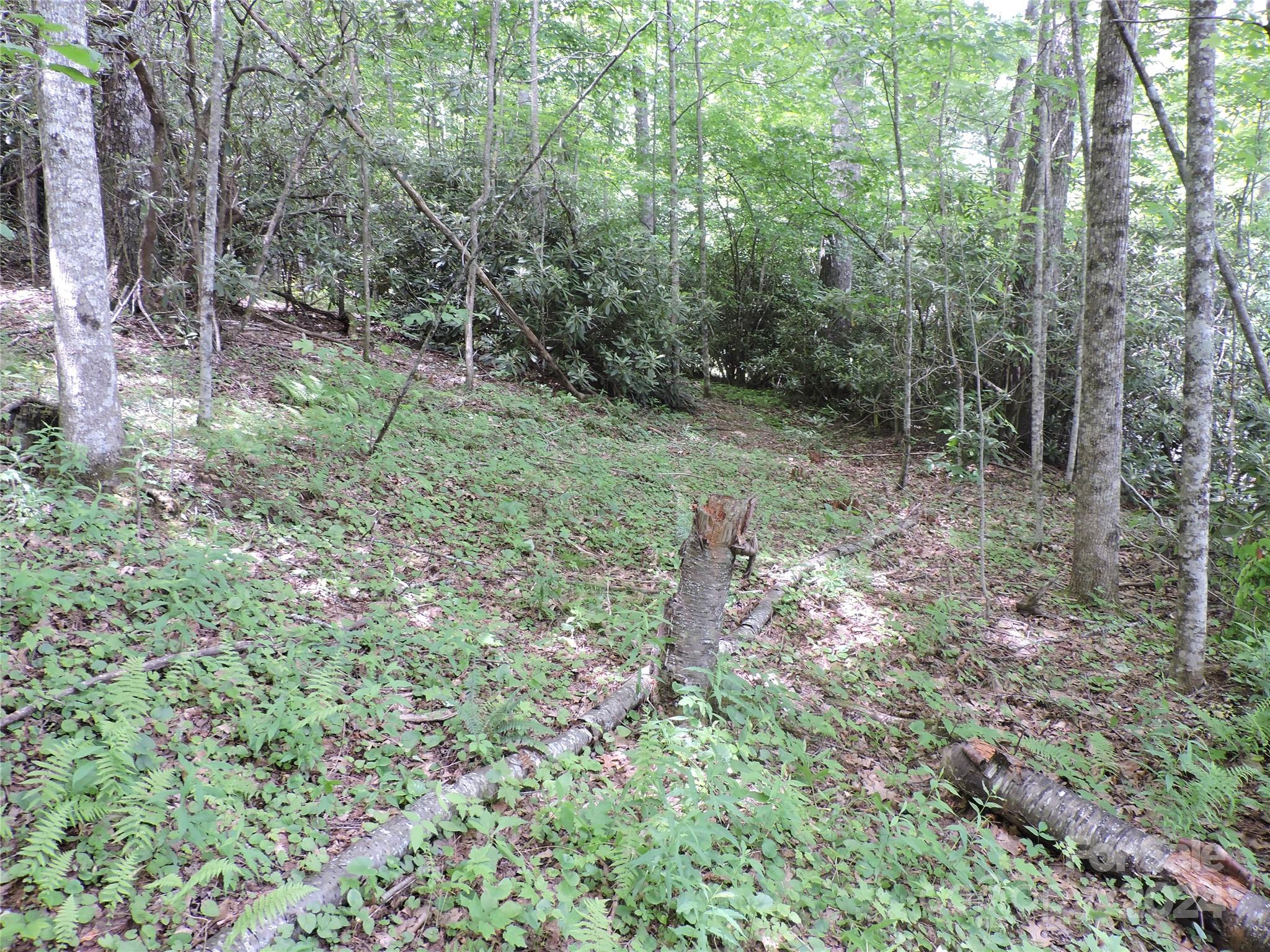 0 South Toe River Road, Unit LOT 2 Burnsville, NC 28714 - Photo 4 of 28 a view of a forest with trees in the background
