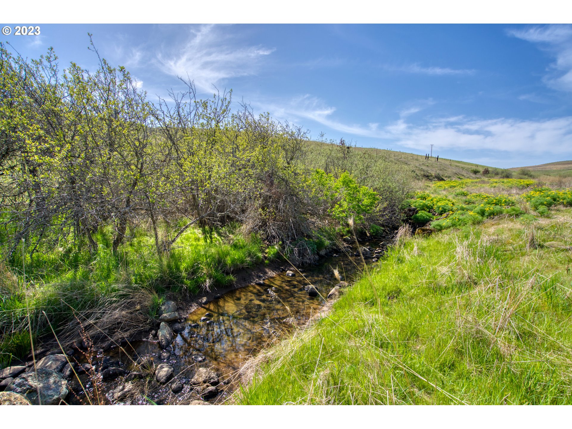 865 Horseshoe Bend Road Centerville, WA 98613 - Photo 3 of 48 Creek