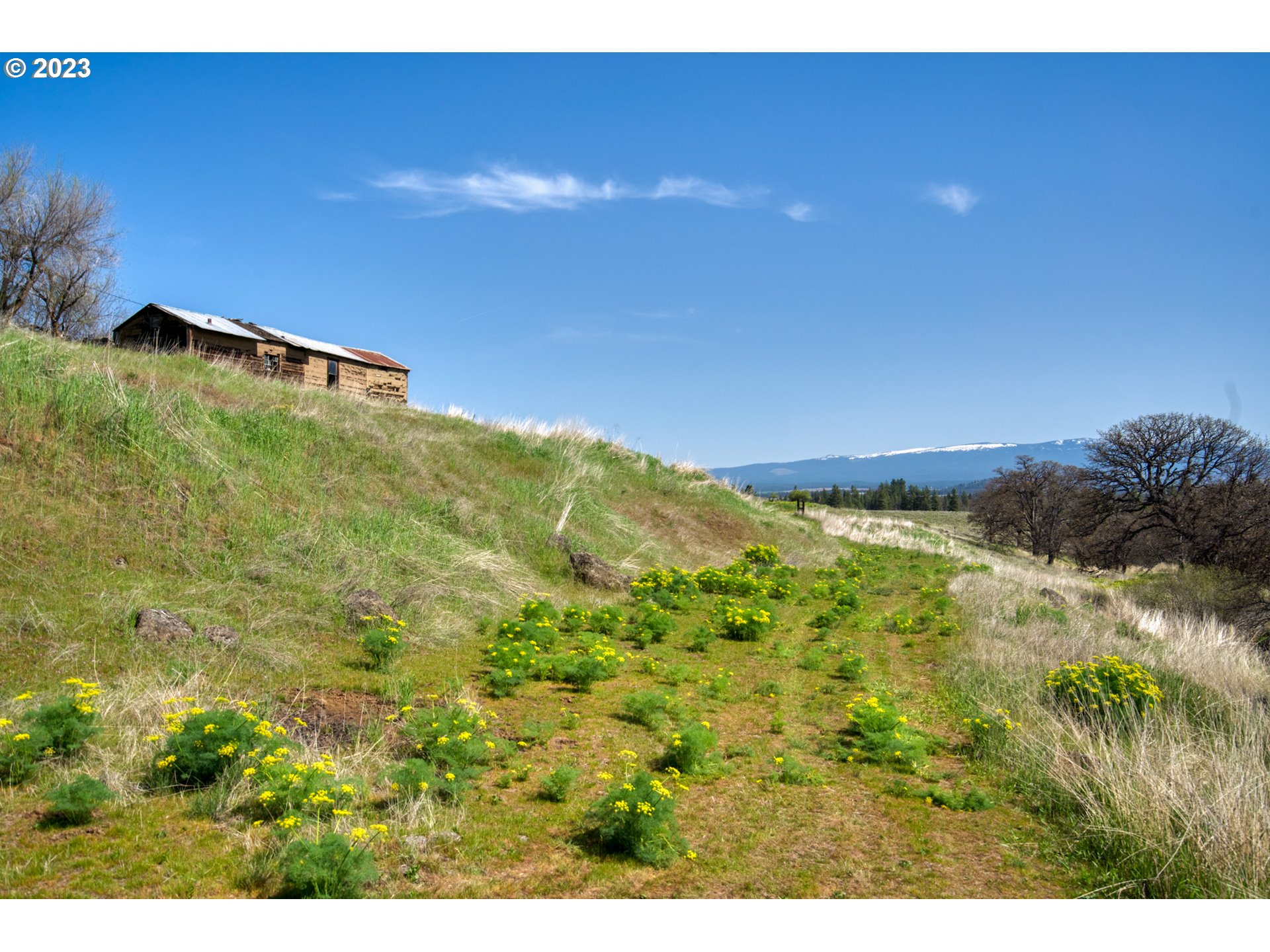 865 Horseshoe Bend Road Centerville, WA 98613 - Photo 41 of 48 Creek
