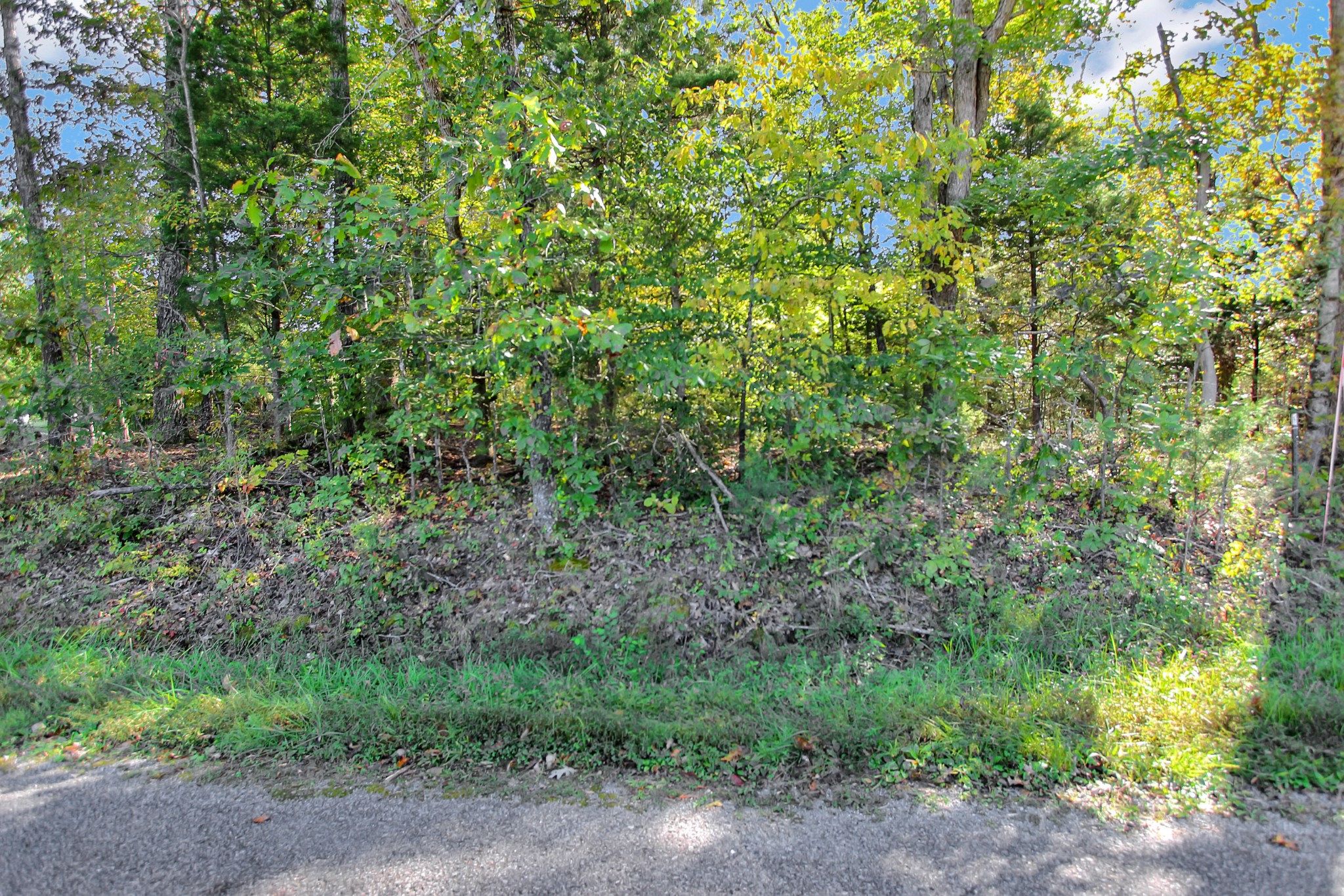 6 Chapel Road Dover, TN 37058 - Photo 3 of 8 Gallery Image 3