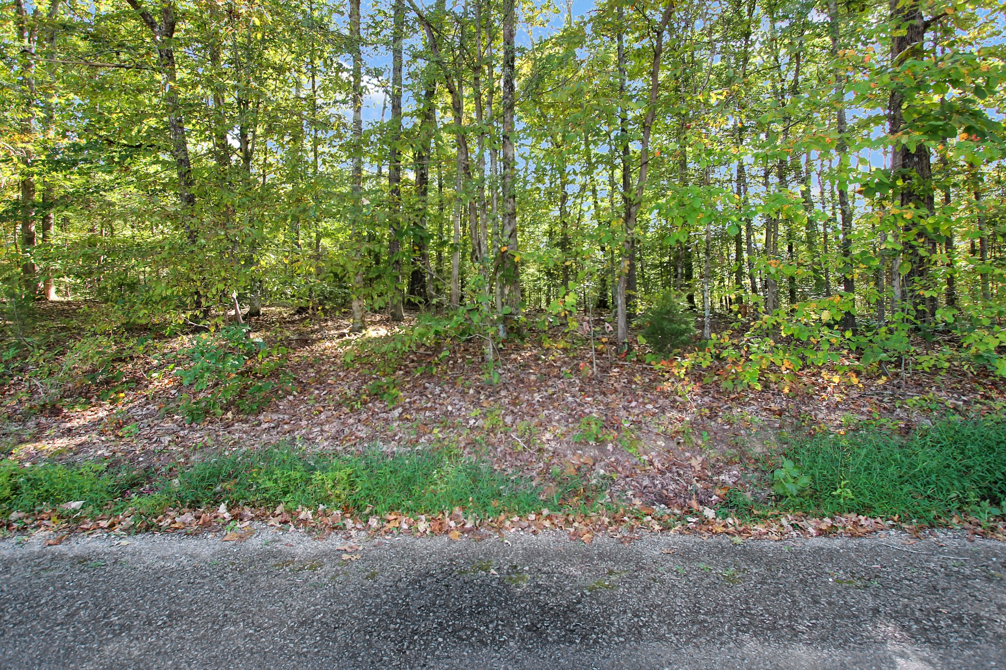 6 Chapel Road Dover, TN 37058 - Photo 4 of 8 Gallery Image 4