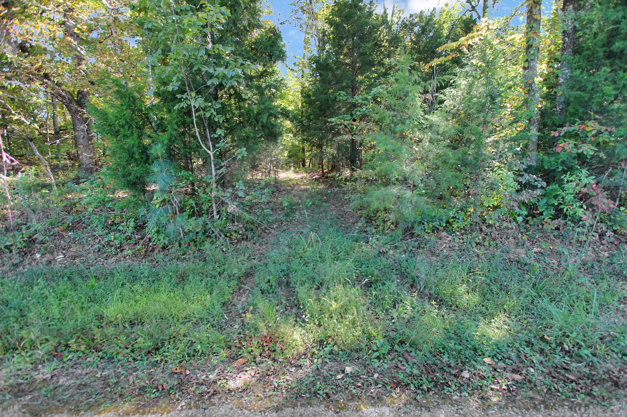 6 Chapel Road Dover, TN 37058 - Photo 5 of 8 Gallery Image 5