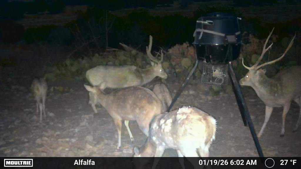 20120 Other Rocksprings, TX 78880 - Photo 2 of 20 a view of entryway