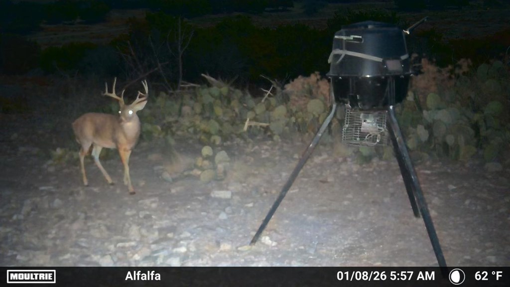 20120 Other Rocksprings, TX 78880 - Photo 3 of 20 a picture of a room