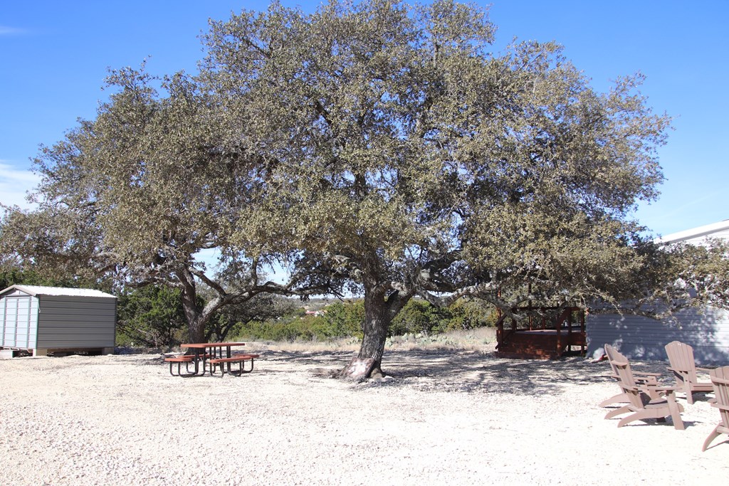 20120 Other Rocksprings, TX 78880 - Photo 8 of 20 a view of backyard with a table and chair