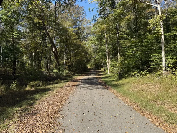 a view of a yard with trees