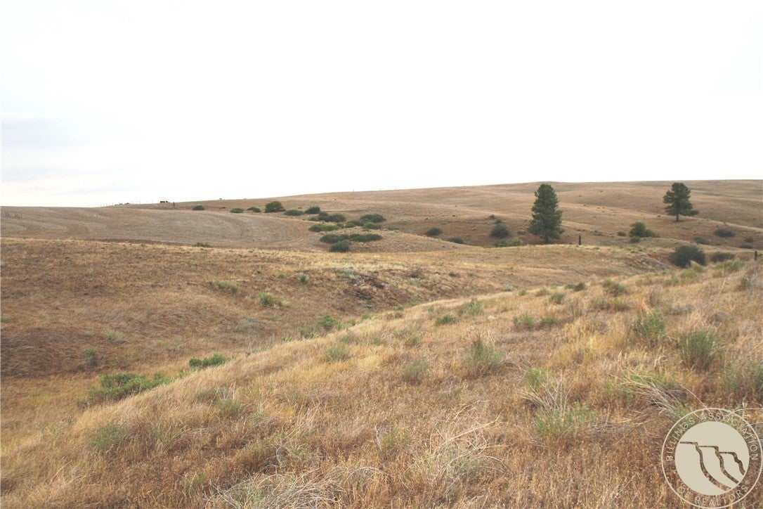 Lot 4 Joliet Road Columbus, MT 59019 - Photo 9 of 15 Gallery Image 9