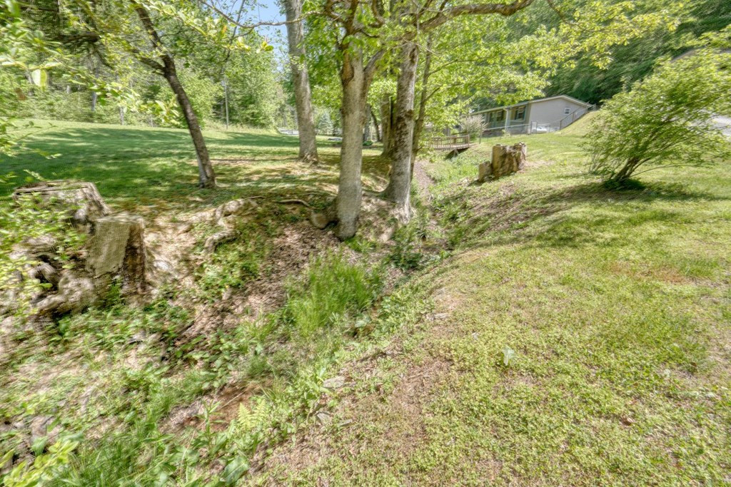 830 Canyon Road Marble, NC 28905 - Photo 11 of 45 Gallery Image 11