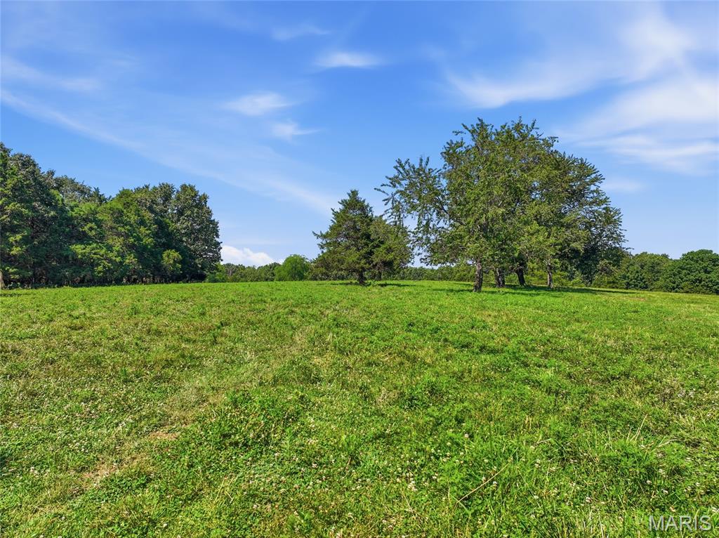 0 Cardinal Road Dixon, MO 65459 - Photo 7 of 55 Gallery Image 7