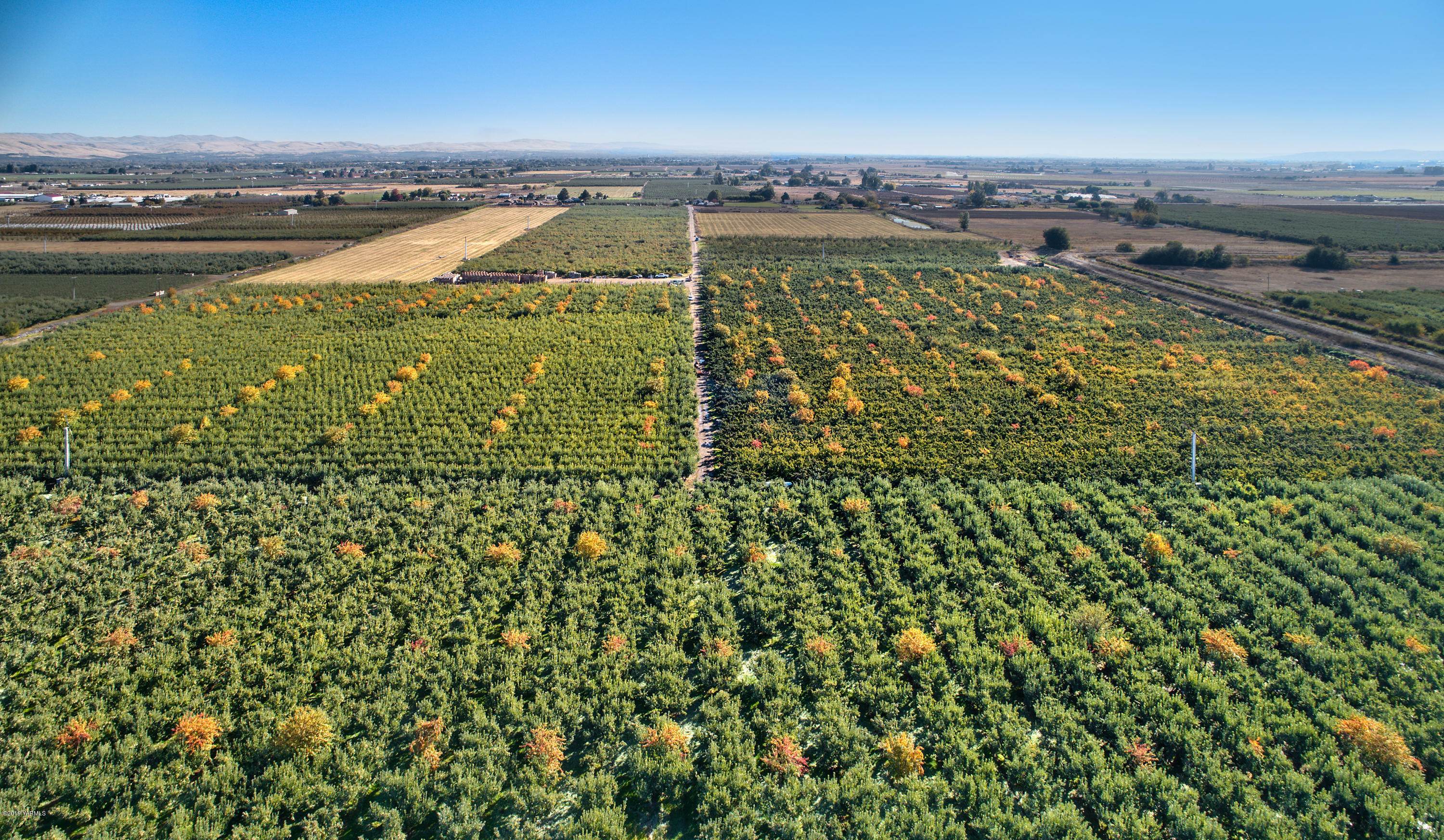 5350 Lateral A Road Wapato, WA 98951 - Photo 4 of 9 191010_James_LateralA_Wapato_03