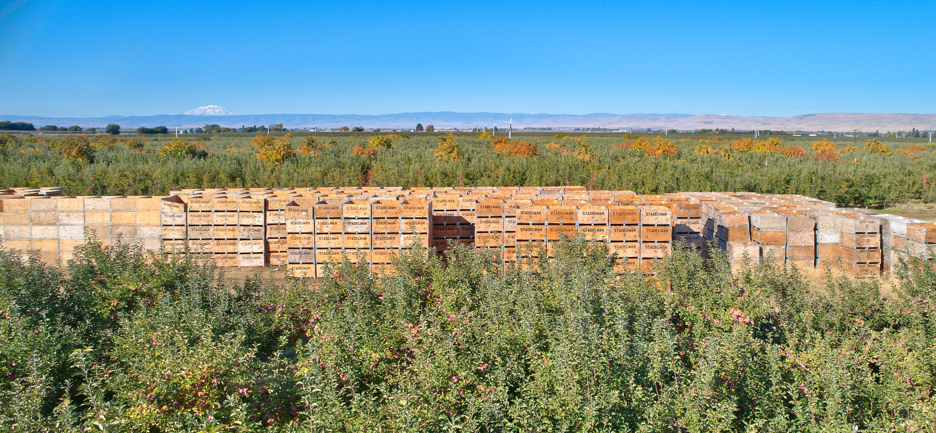 5350 Lateral A Road Wapato, WA 98951 - Photo 6 of 9 191010_James_LateralA_Wapato_05