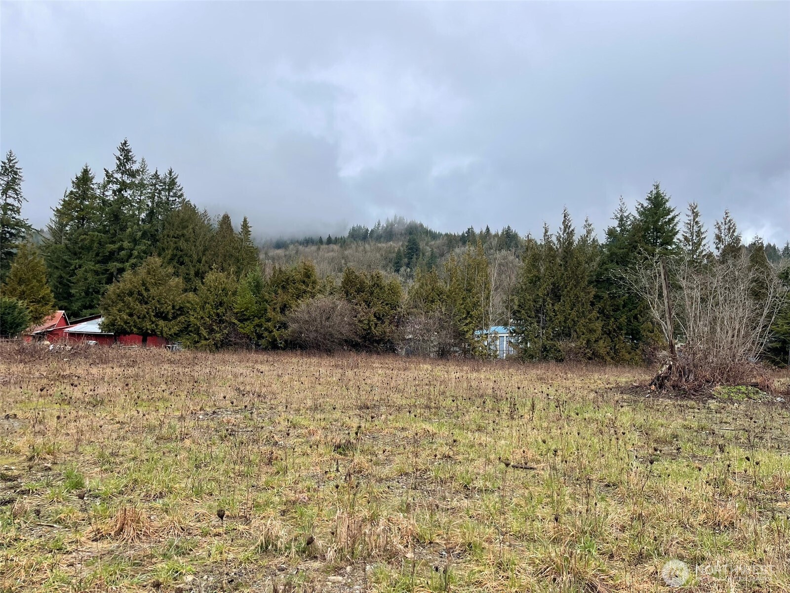 45075 Cedar Street Concrete, WA 98237 - Photo 15 of 18
