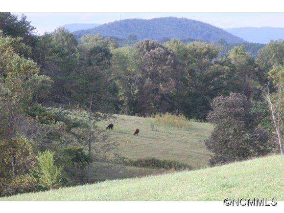0 A R A R Thompson Road Mill Spring, NC 28756 - Photo 2 of 3 a view of mountain with sunset view